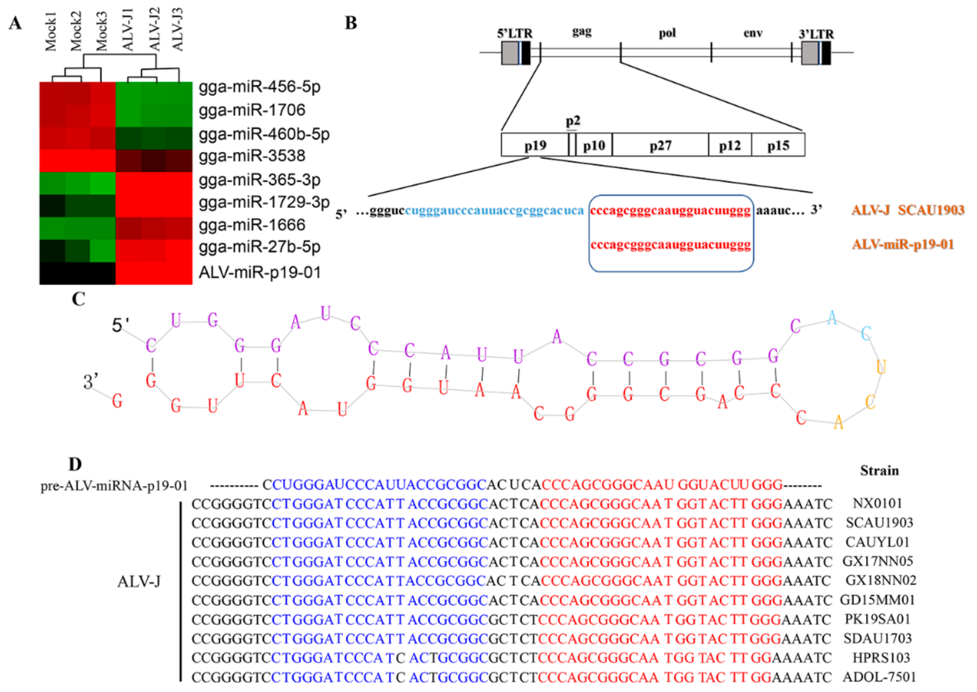 Viruses 14 00805 g001