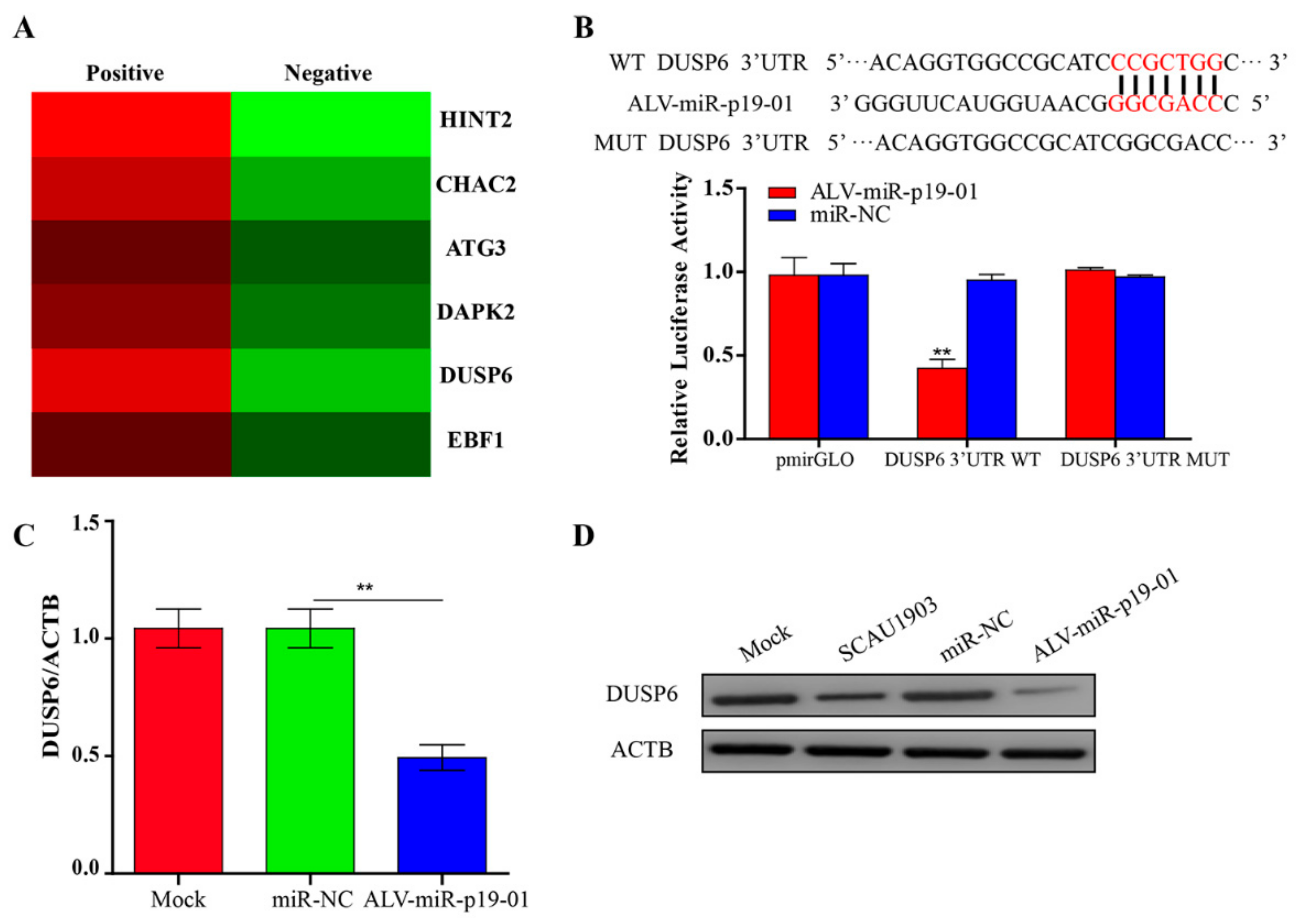 Viruses 14 00805 g004