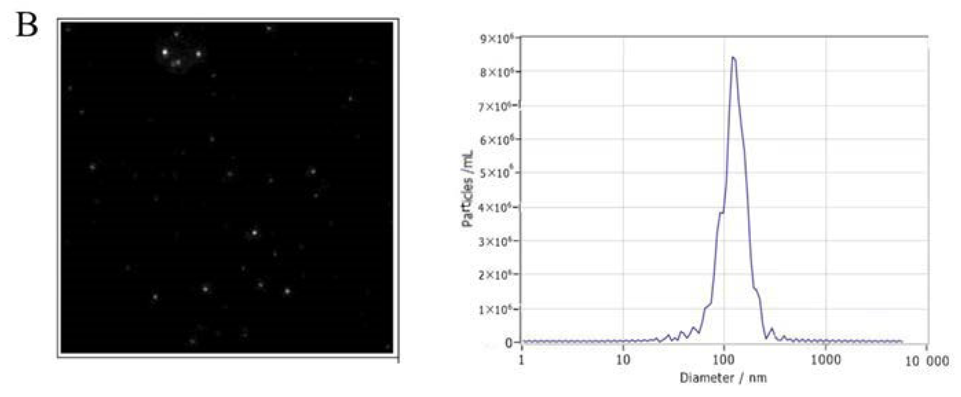 Viruses 14 00806 g001b