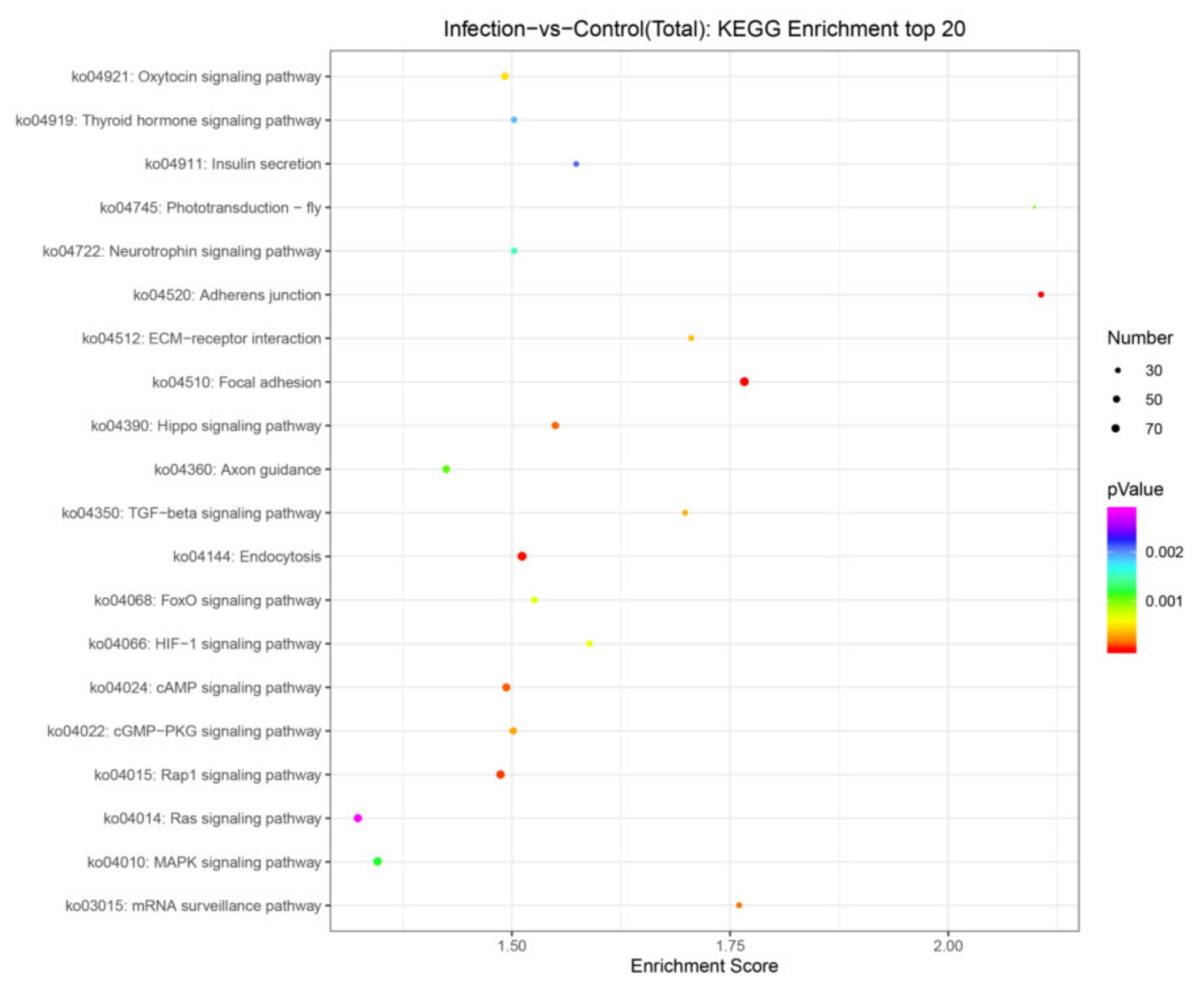 Viruses 14 00806 g006
