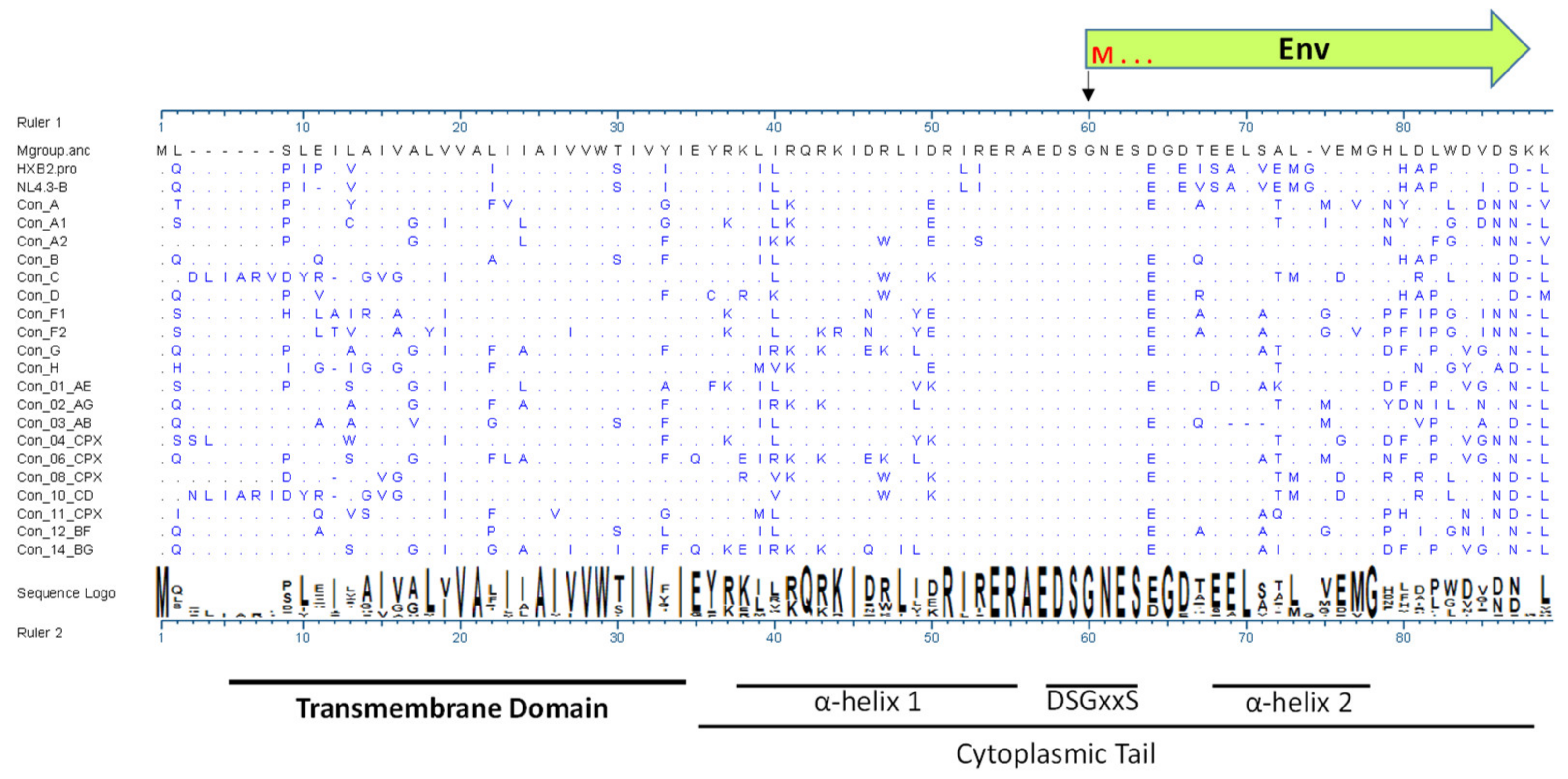 Viruses 14 00808 g001 Viruses 14 00808 g001