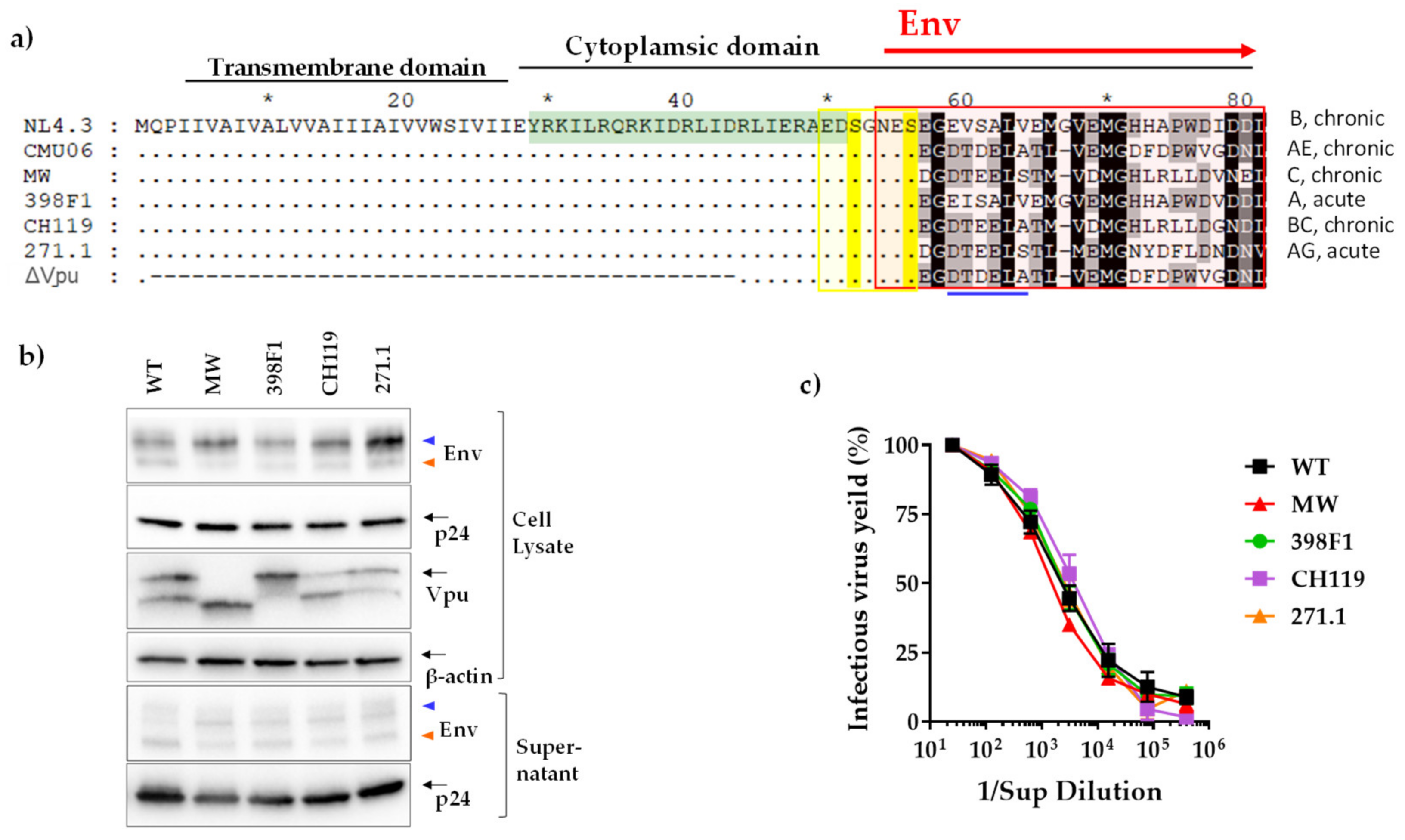 Viruses 14 00808 g002 Viruses 14 00808 g002
