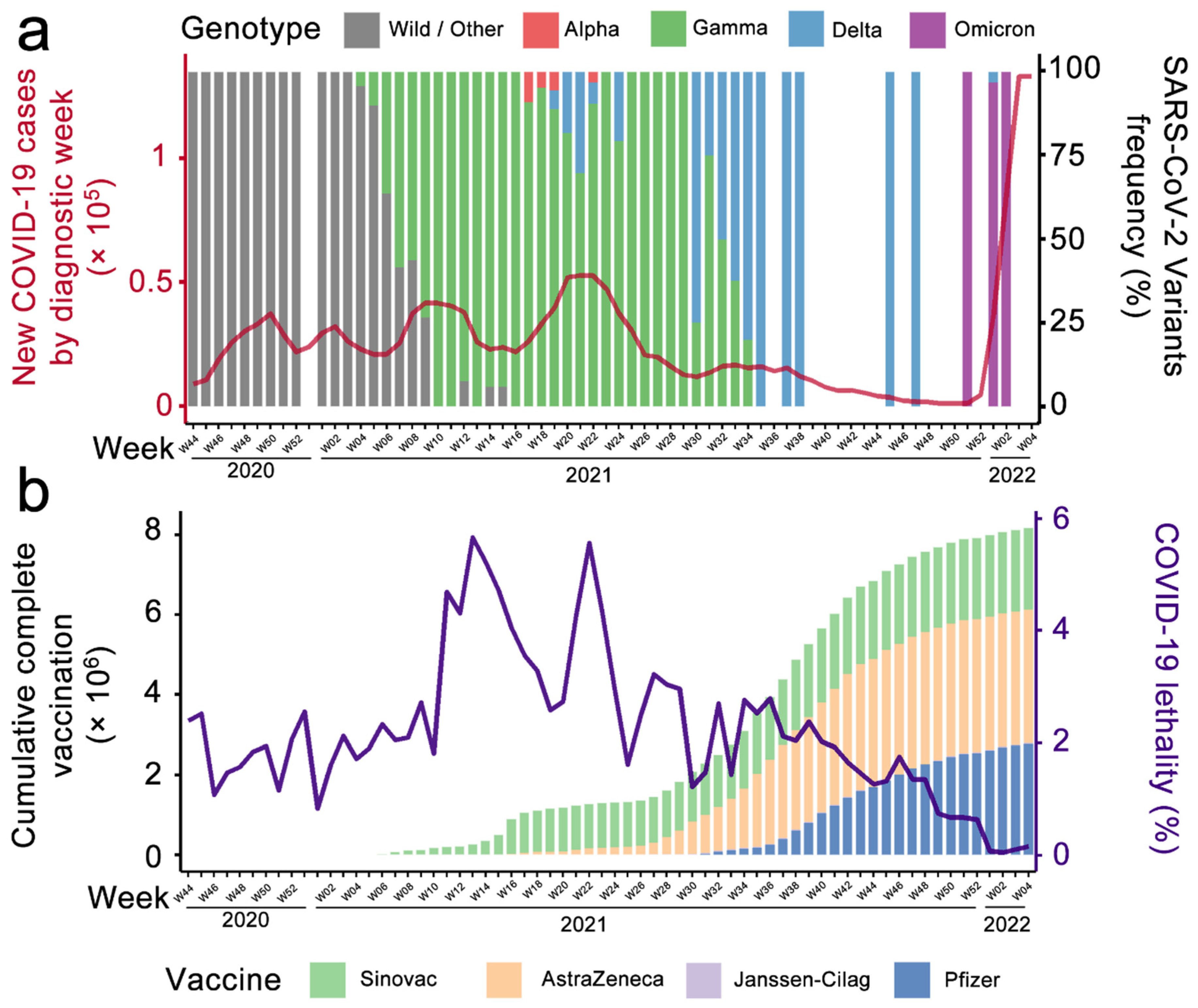 Viruses 14 00809 g001 550