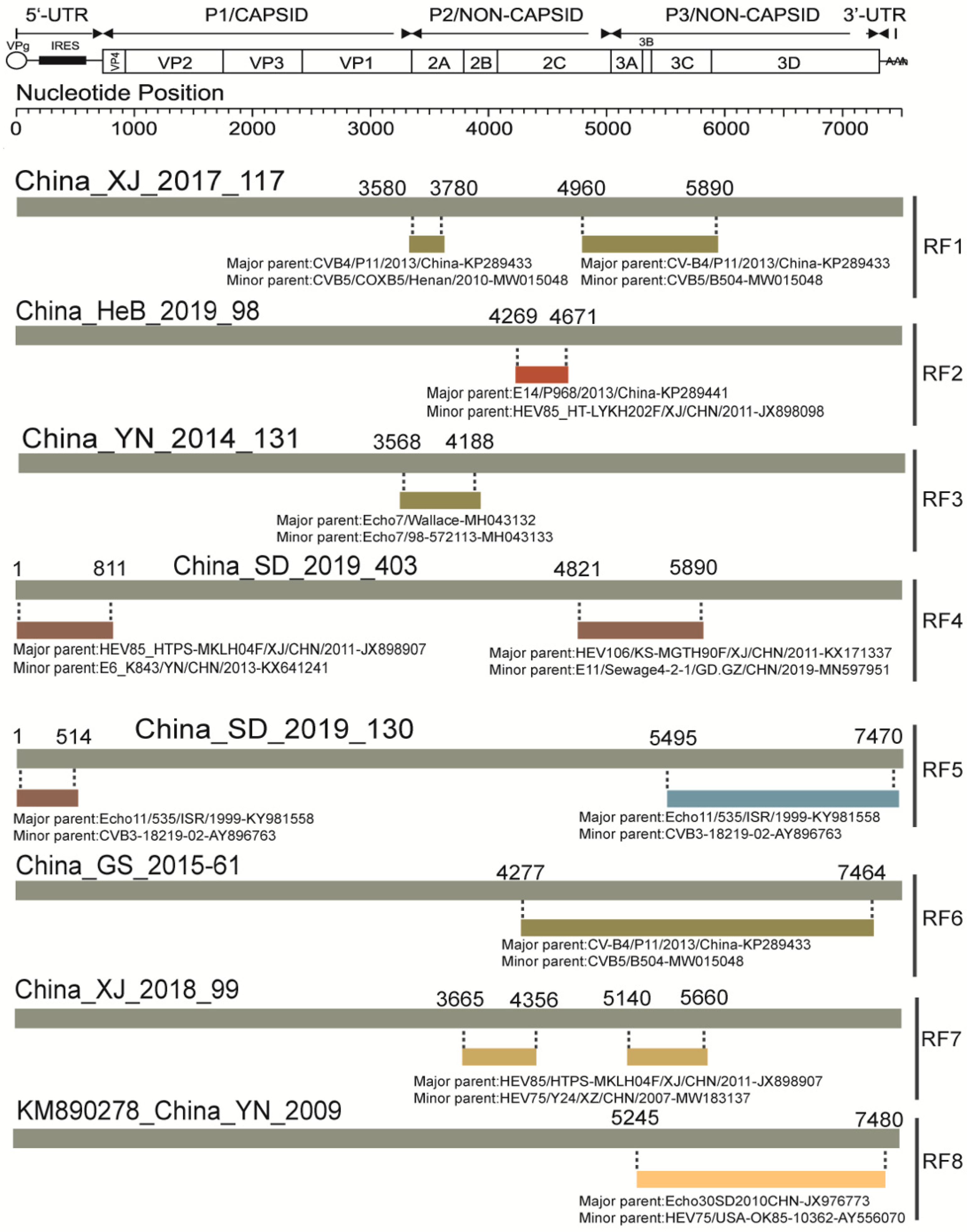 Viruses 14 00822 g005 550