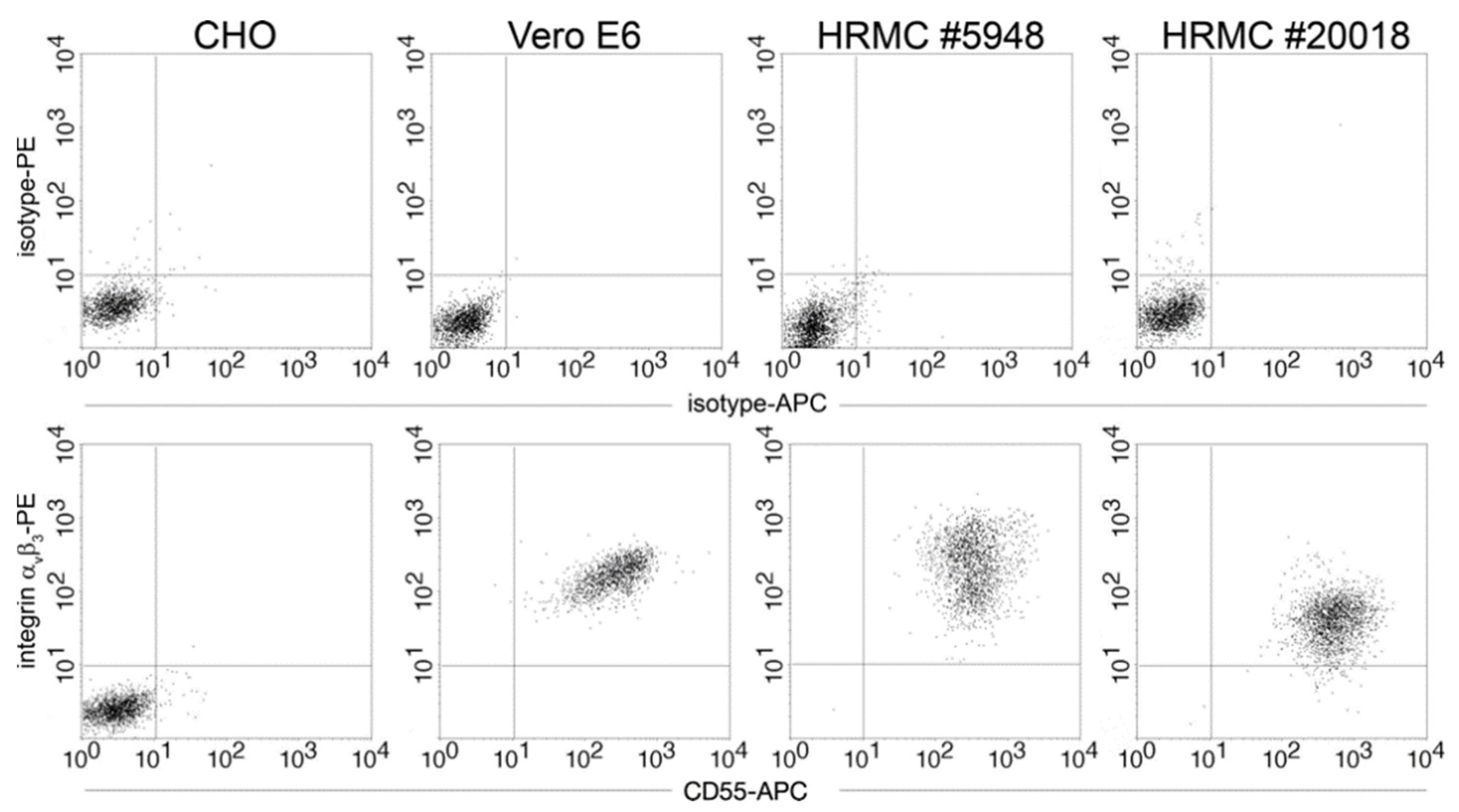 Viruses 14 00823 g005 550