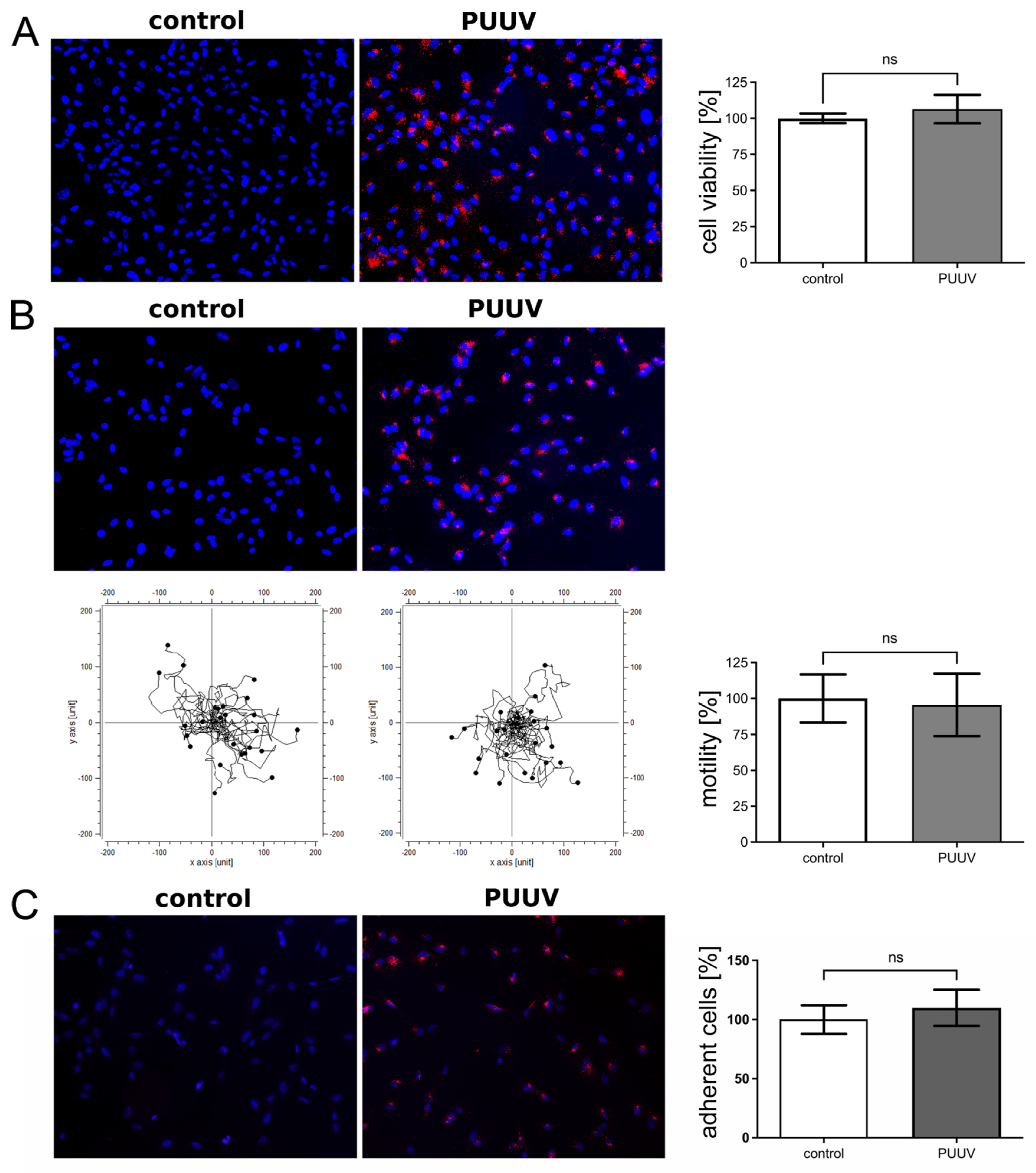 Viruses 14 00823 g007 550