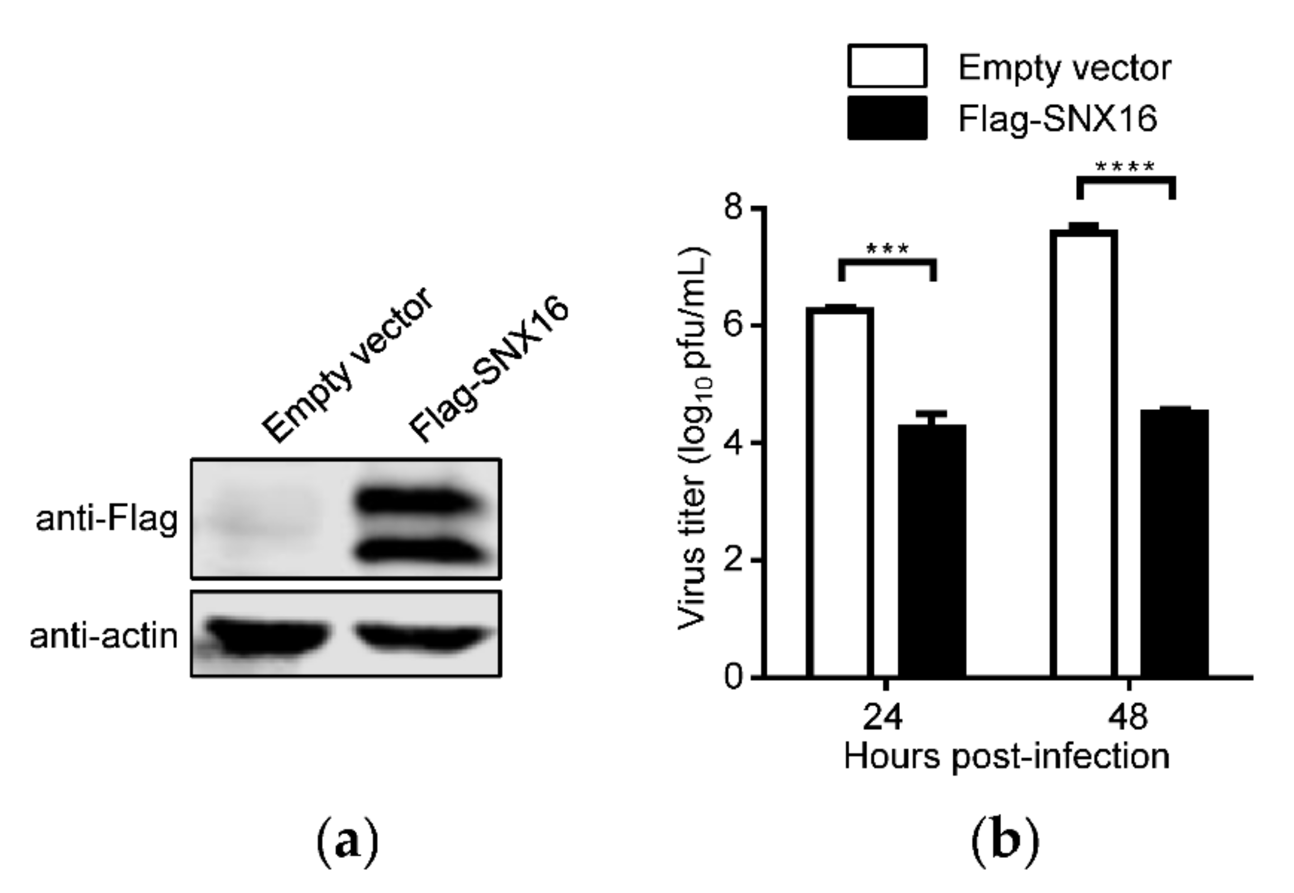 Viruses 14 00825 g001
