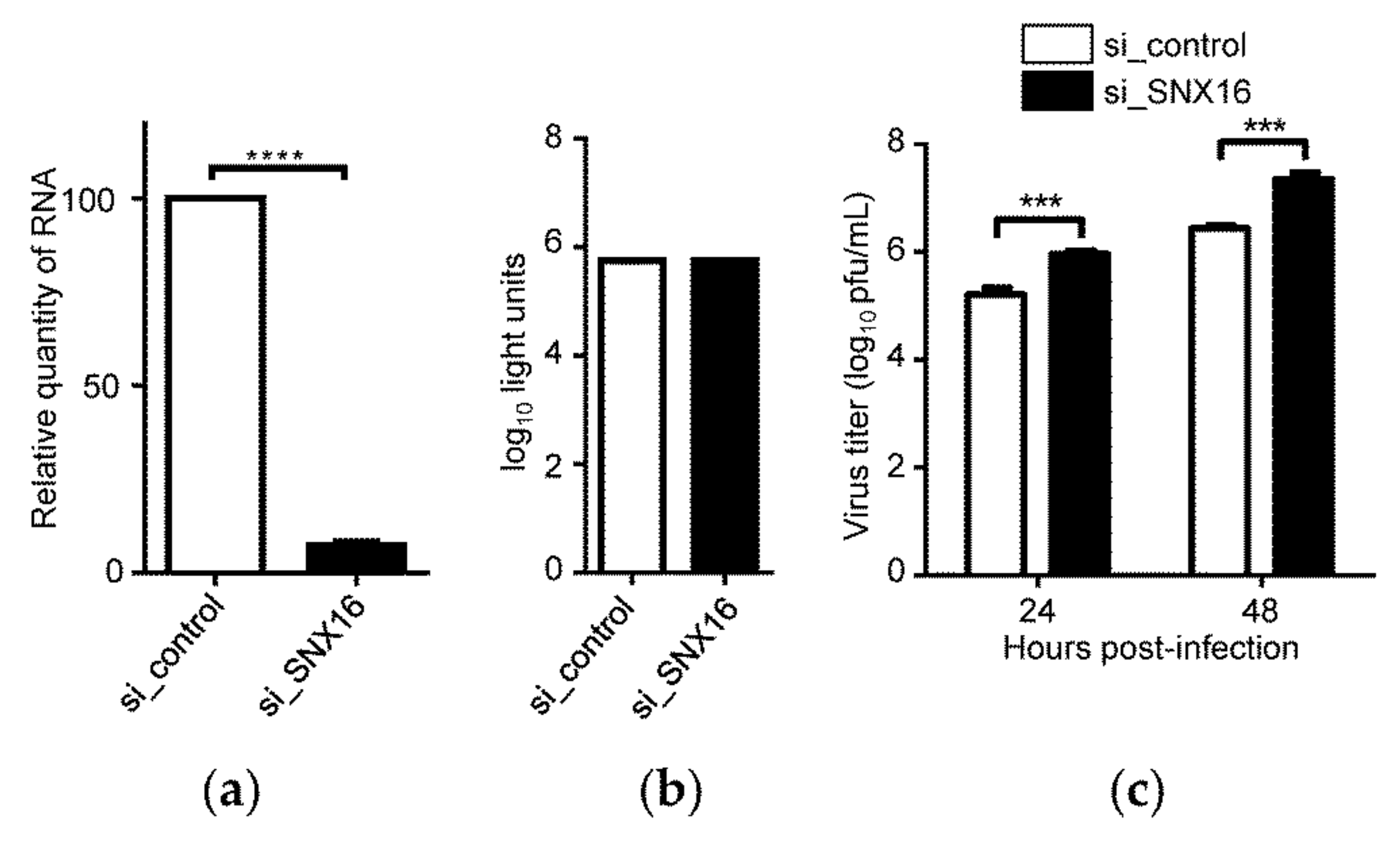 Viruses 14 00825 g002