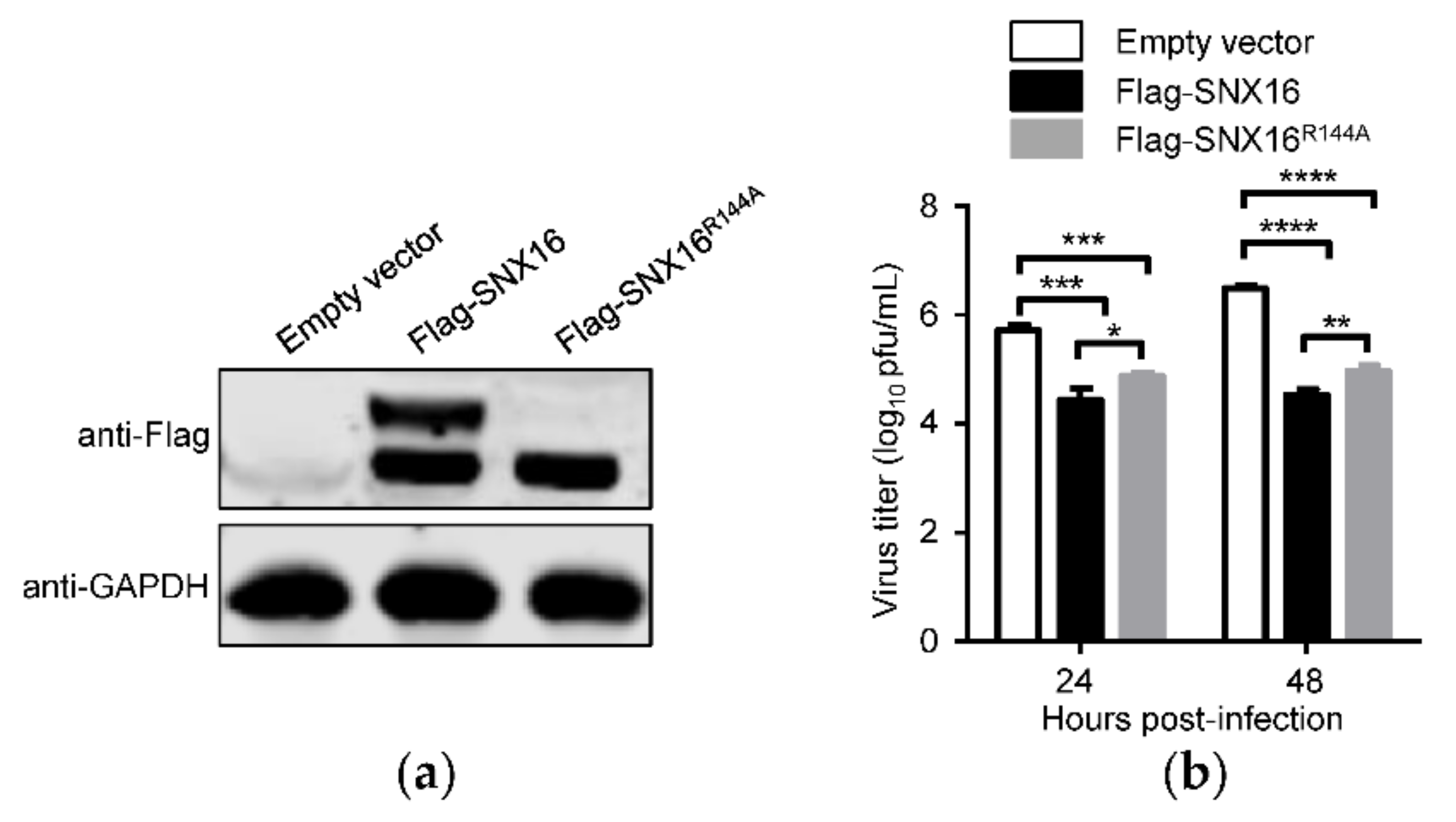 Viruses 14 00825 g006