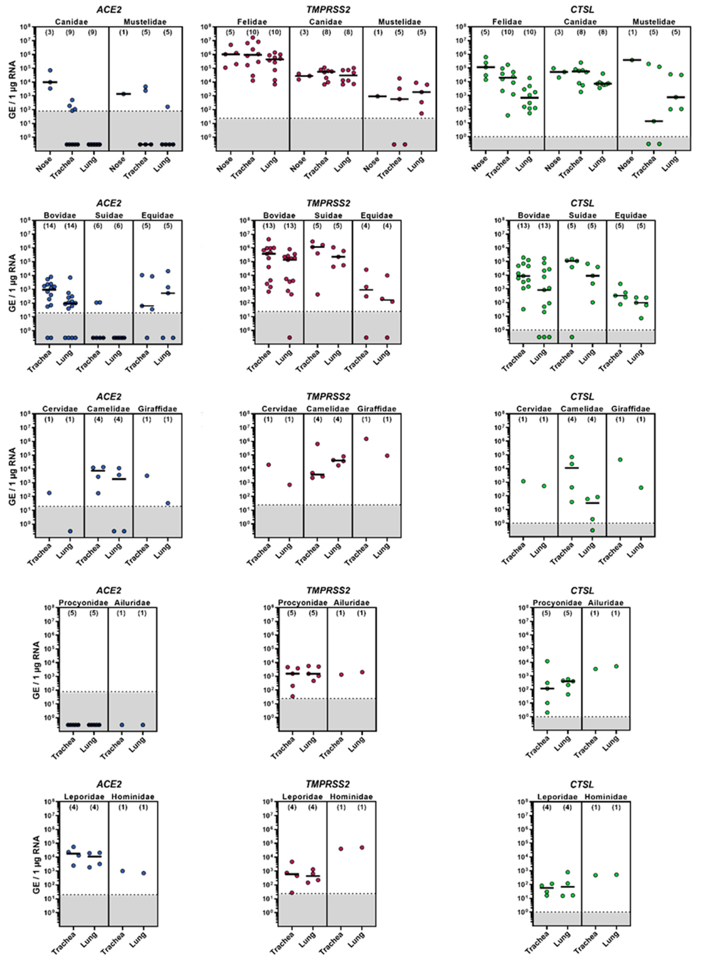 Viruses 14 00828 g001 550