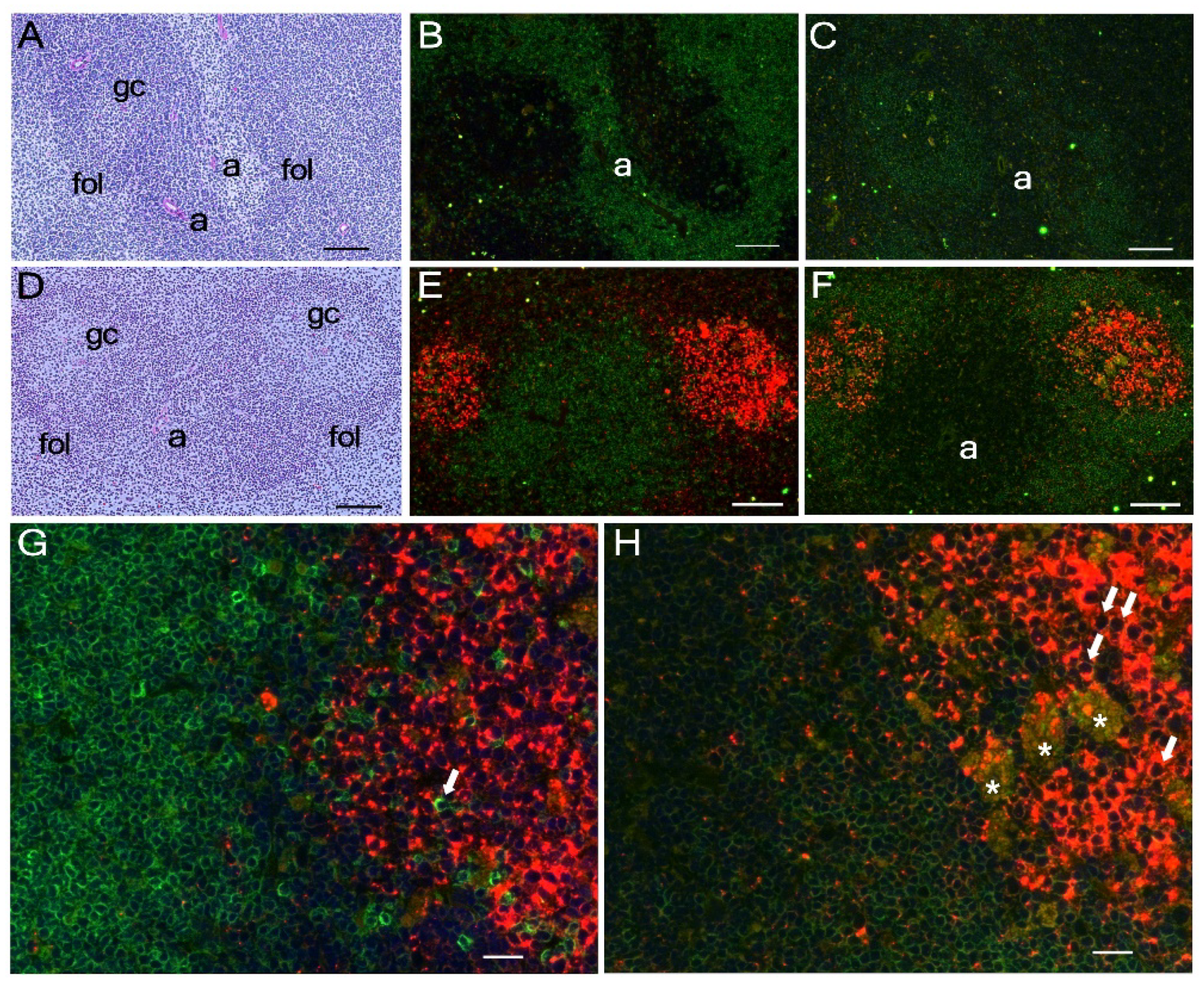 Viruses 14 00832 g003 550