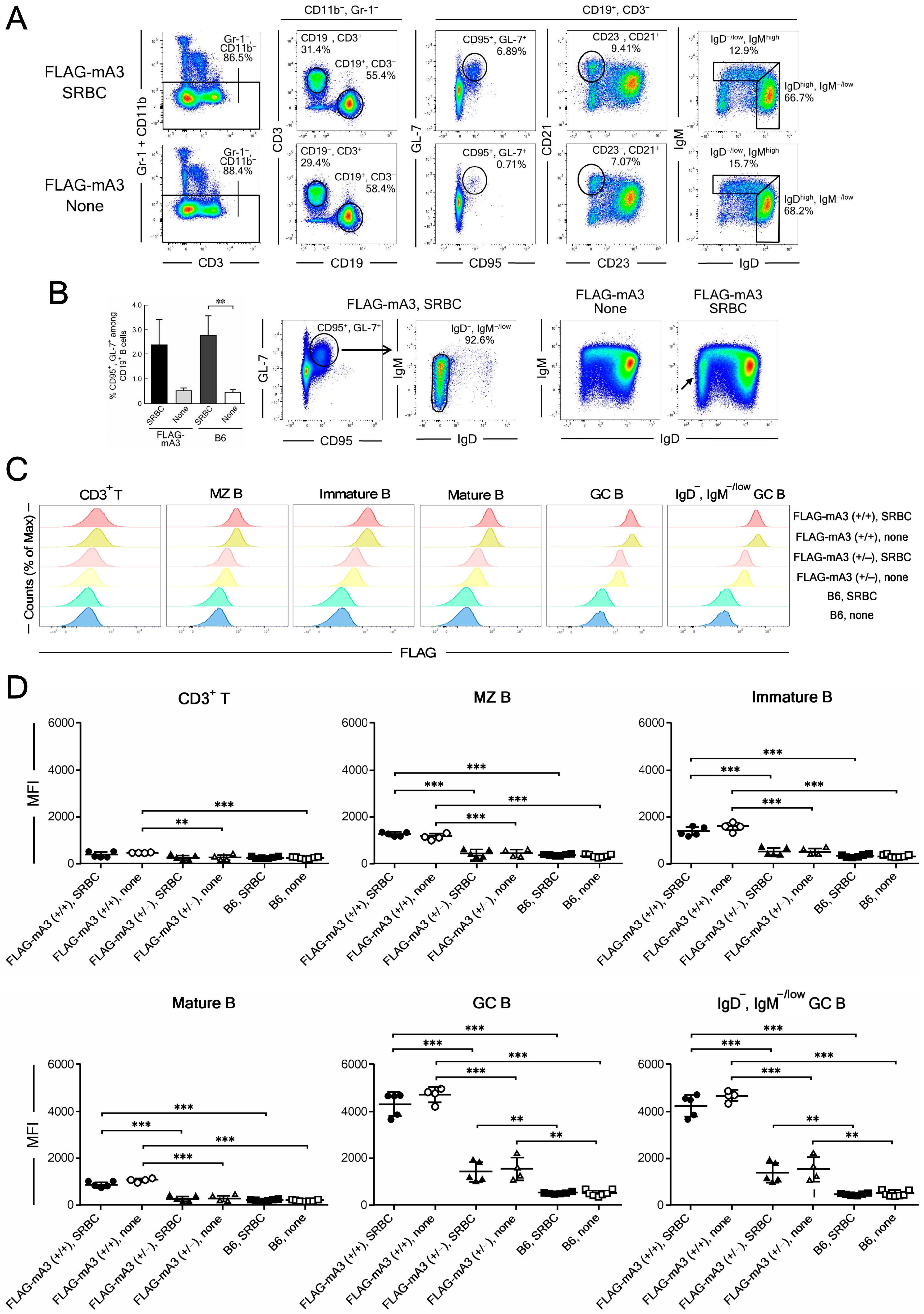 Viruses 14 00832 g005 550