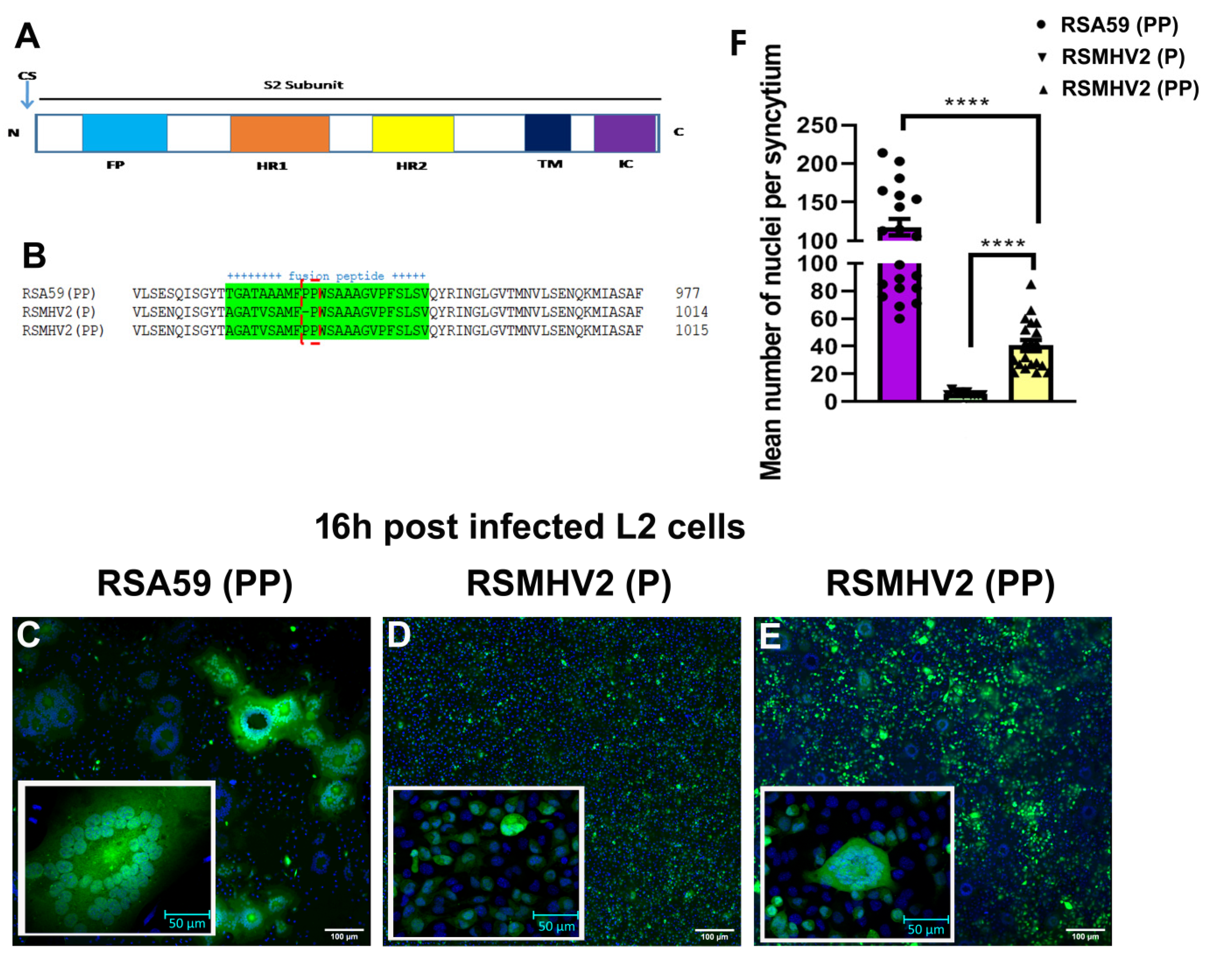 Viruses 14 00834 g001