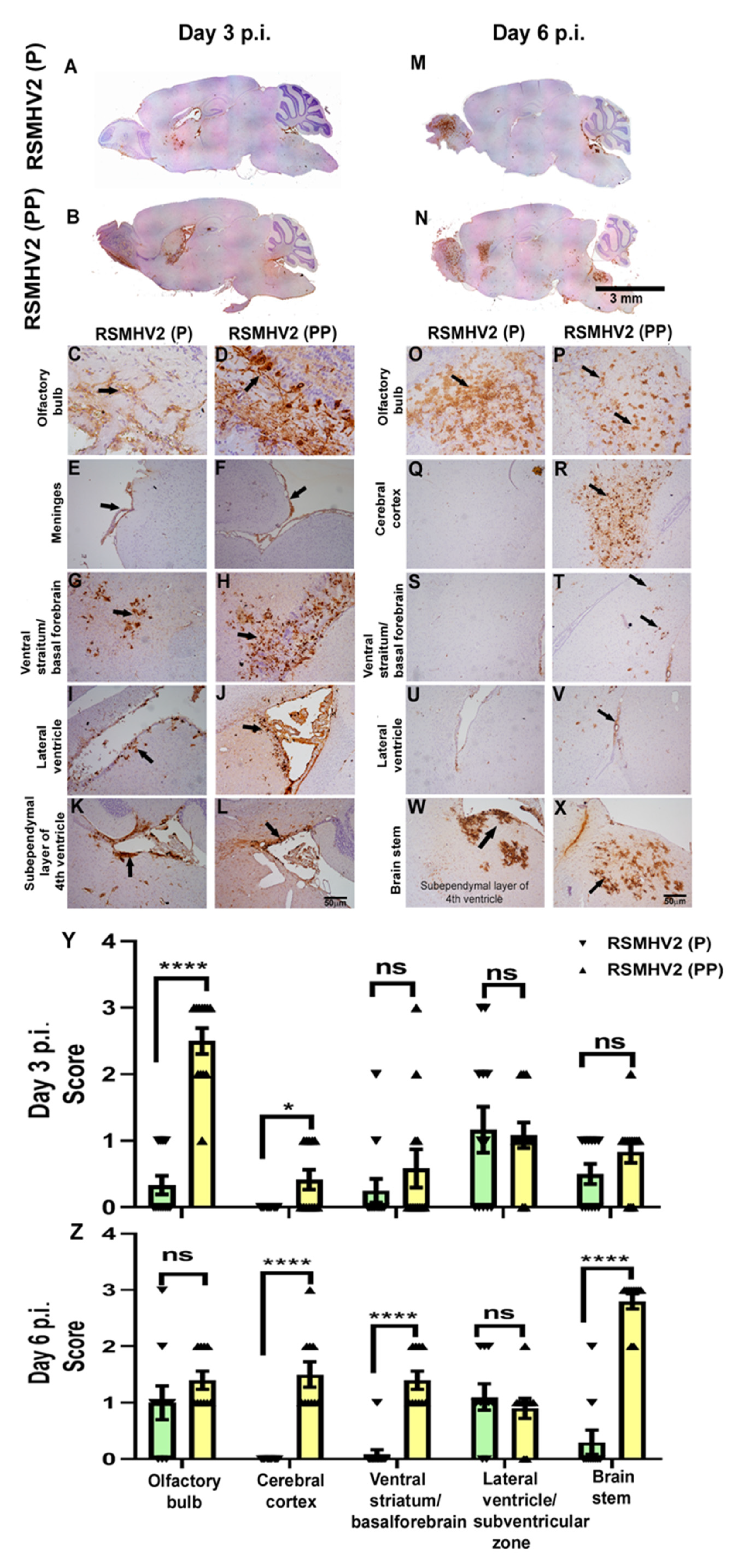 Viruses 14 00834 g006