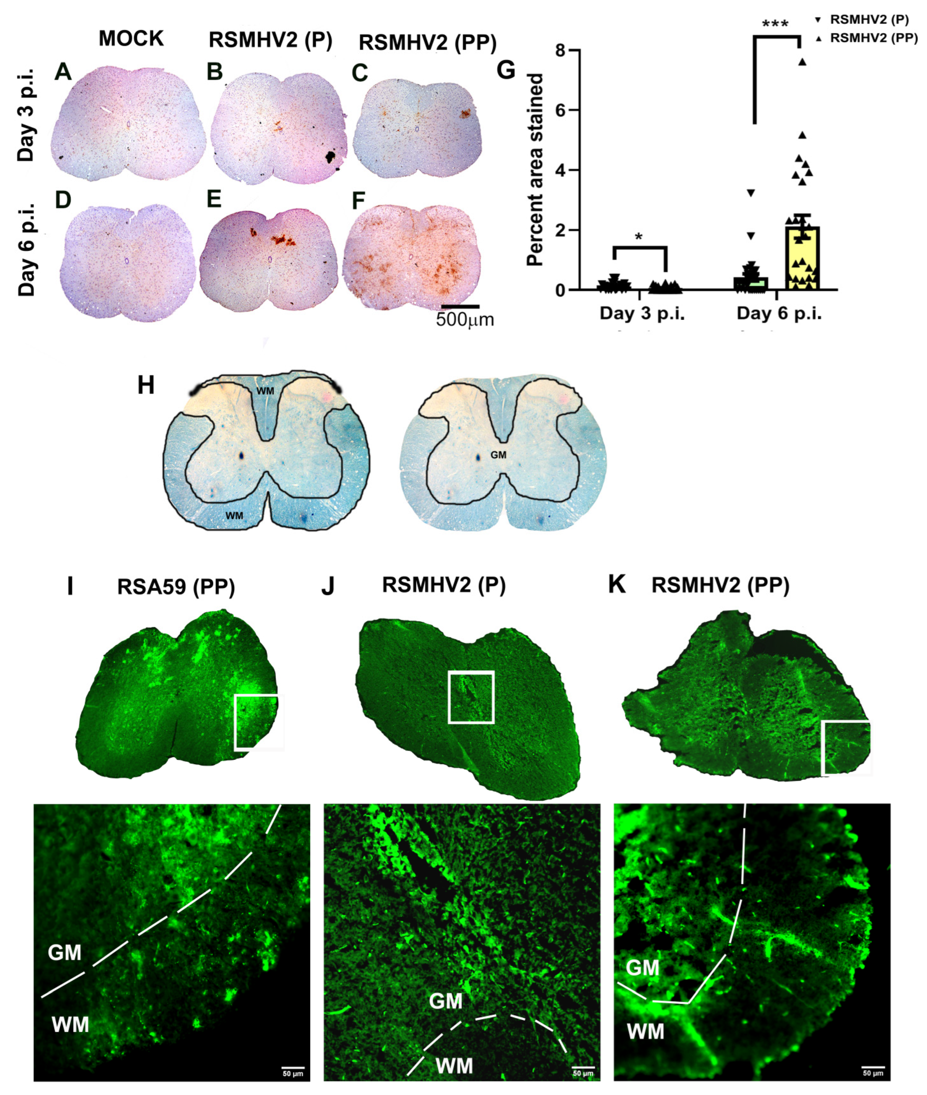Viruses 14 00834 g007