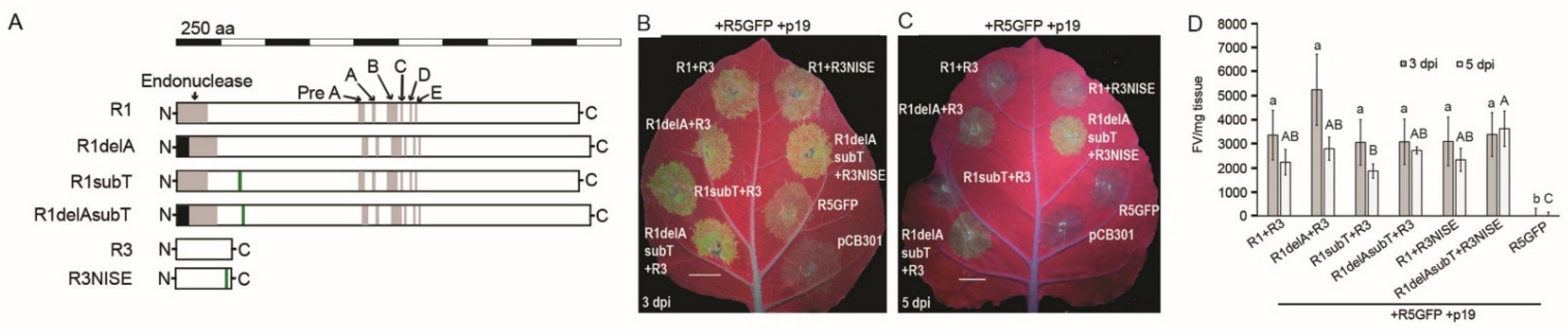 Viruses 14 00836 g003