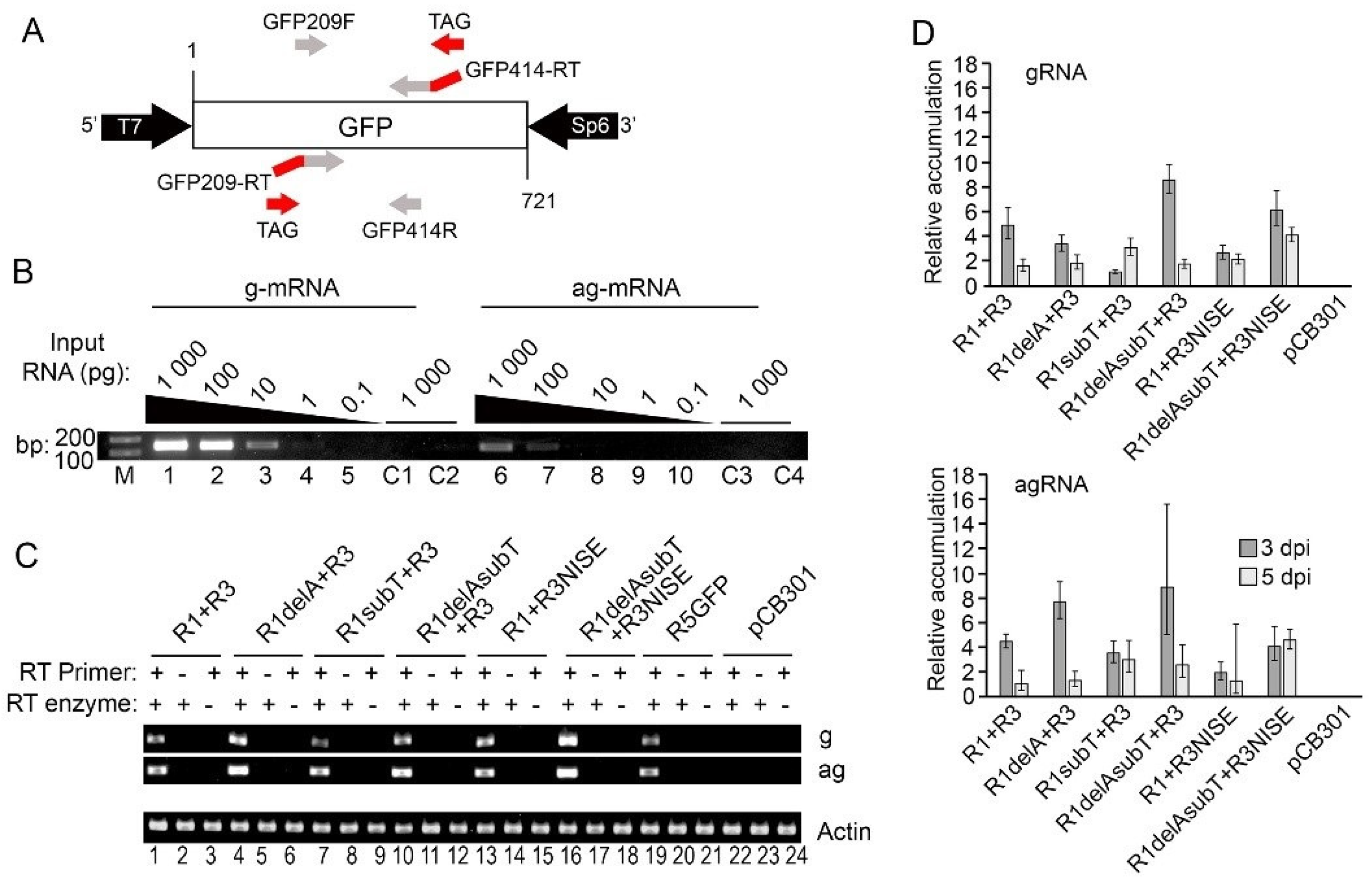 Viruses 14 00836 g004