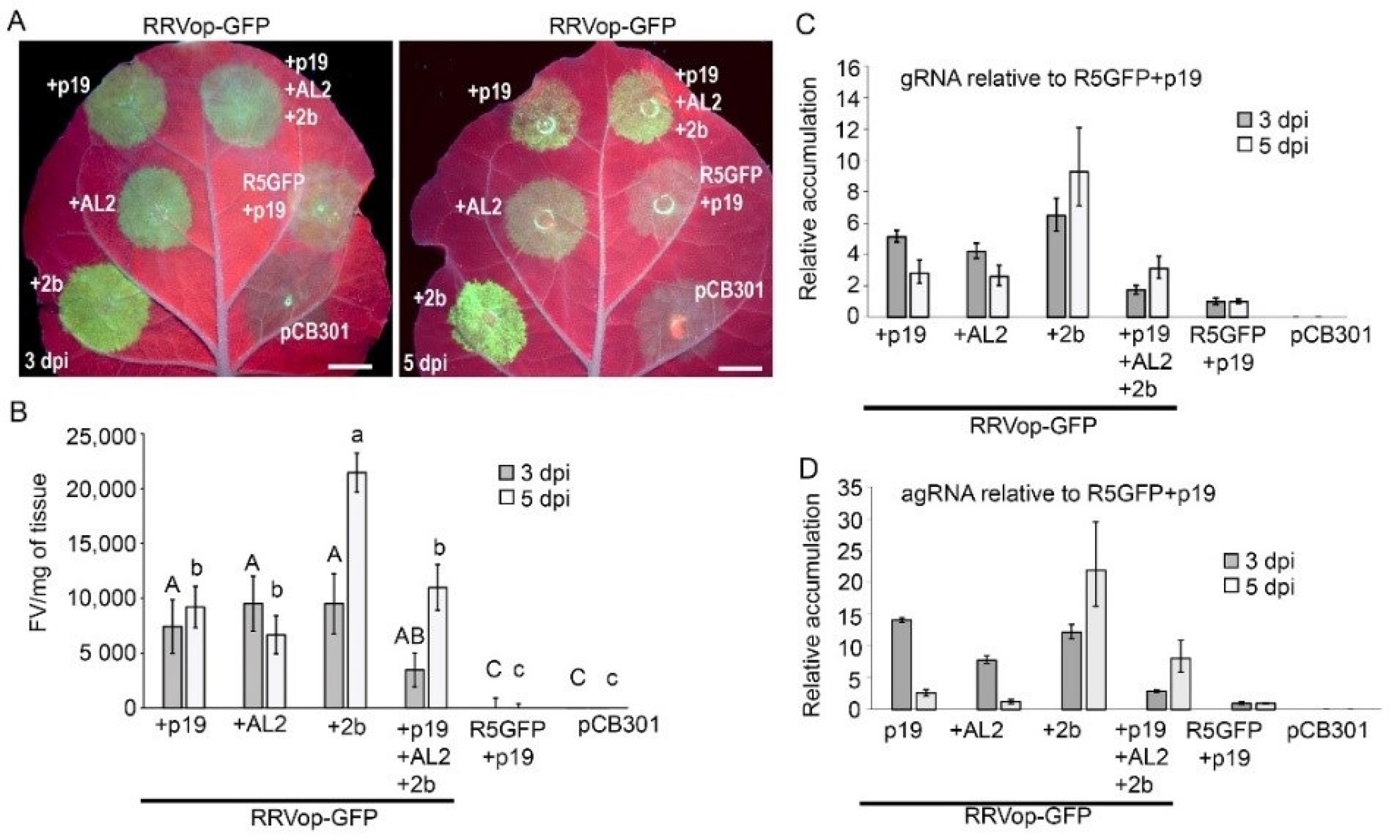 Viruses 14 00836 g005