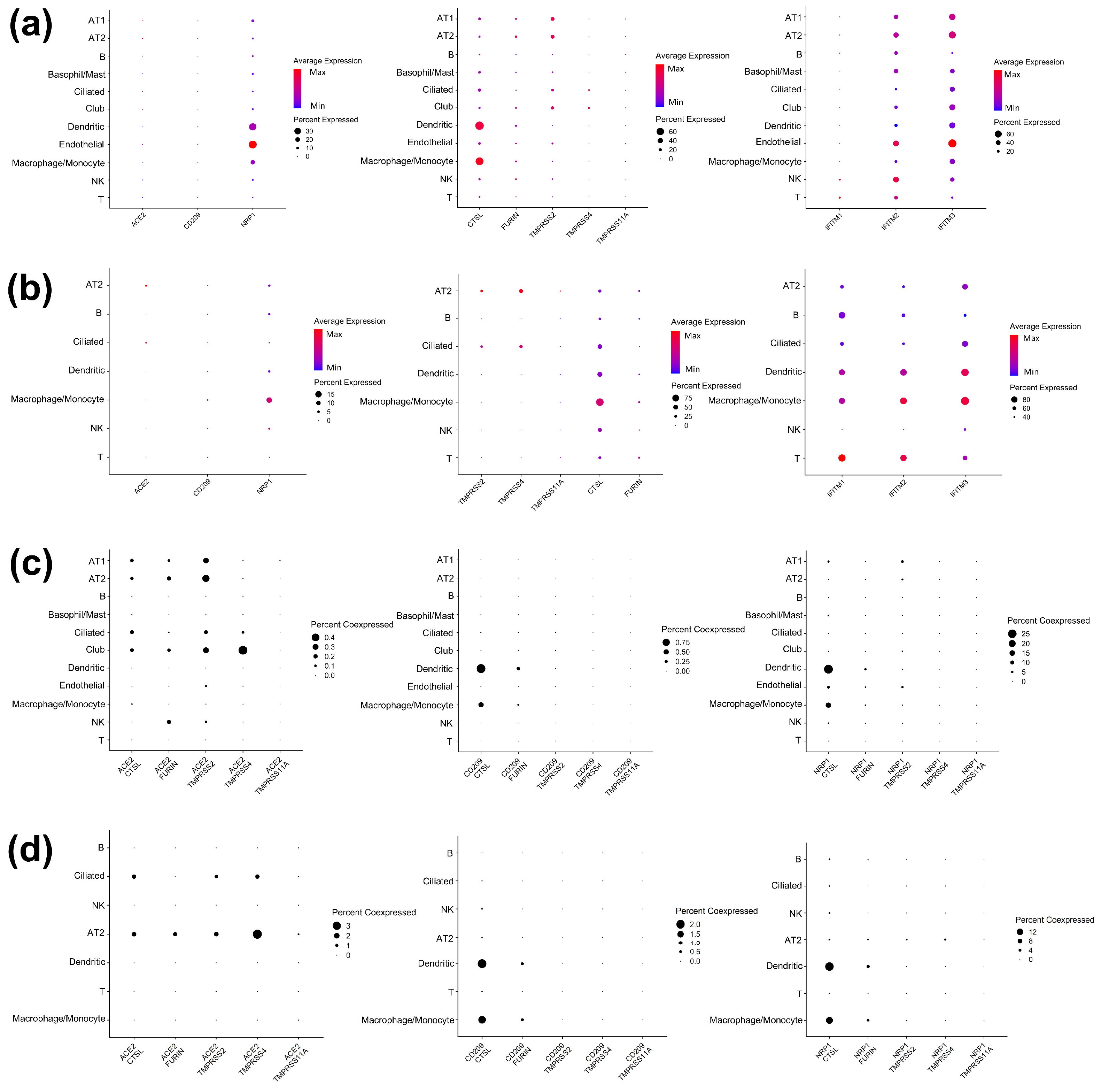 Viruses 14 00837 g002