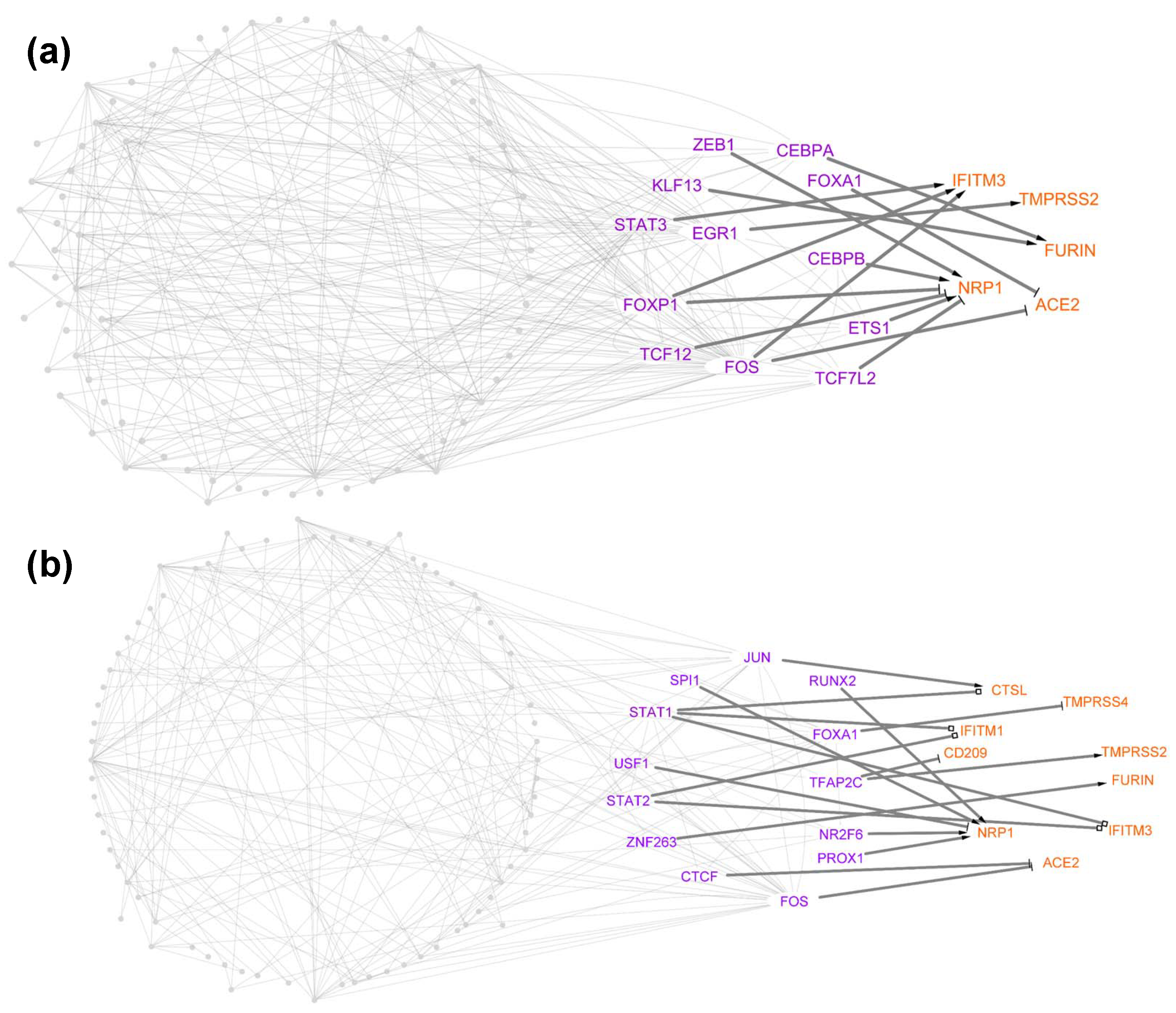 Viruses 14 00837 g004