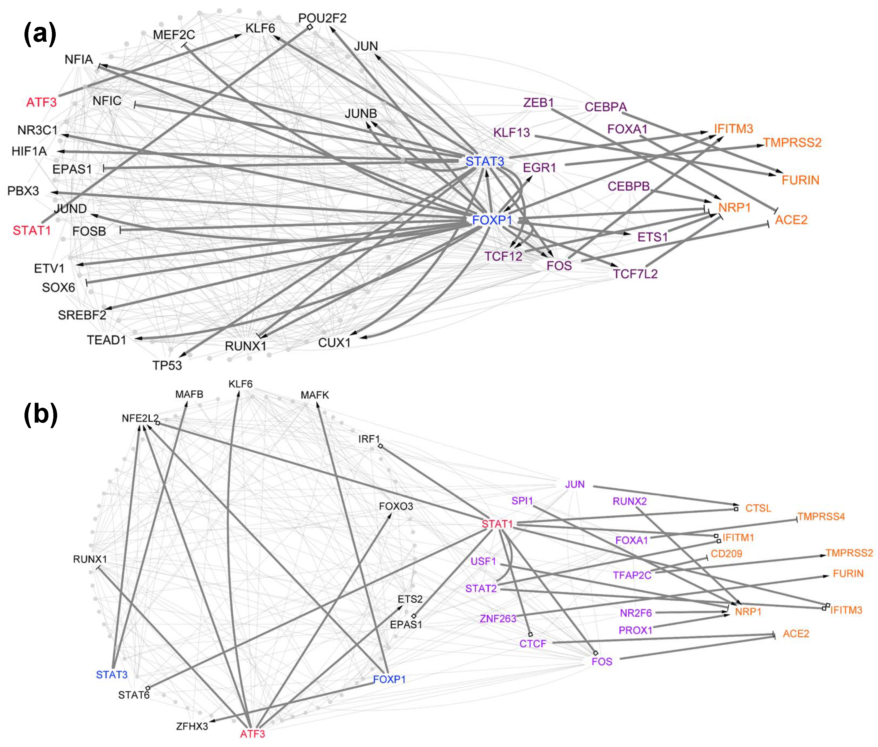 Viruses 14 00837 g005