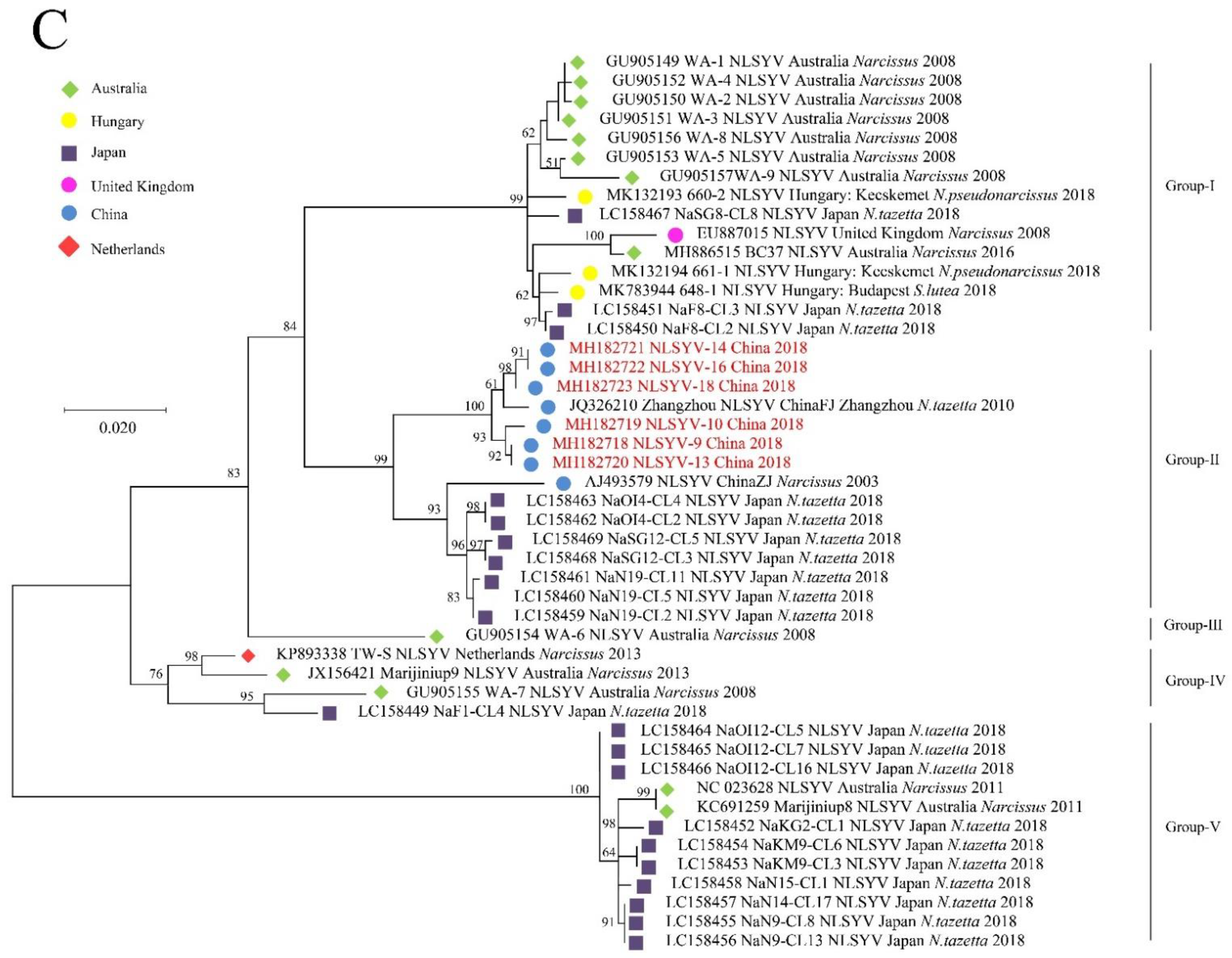 Viruses 14 00846 g002b 550