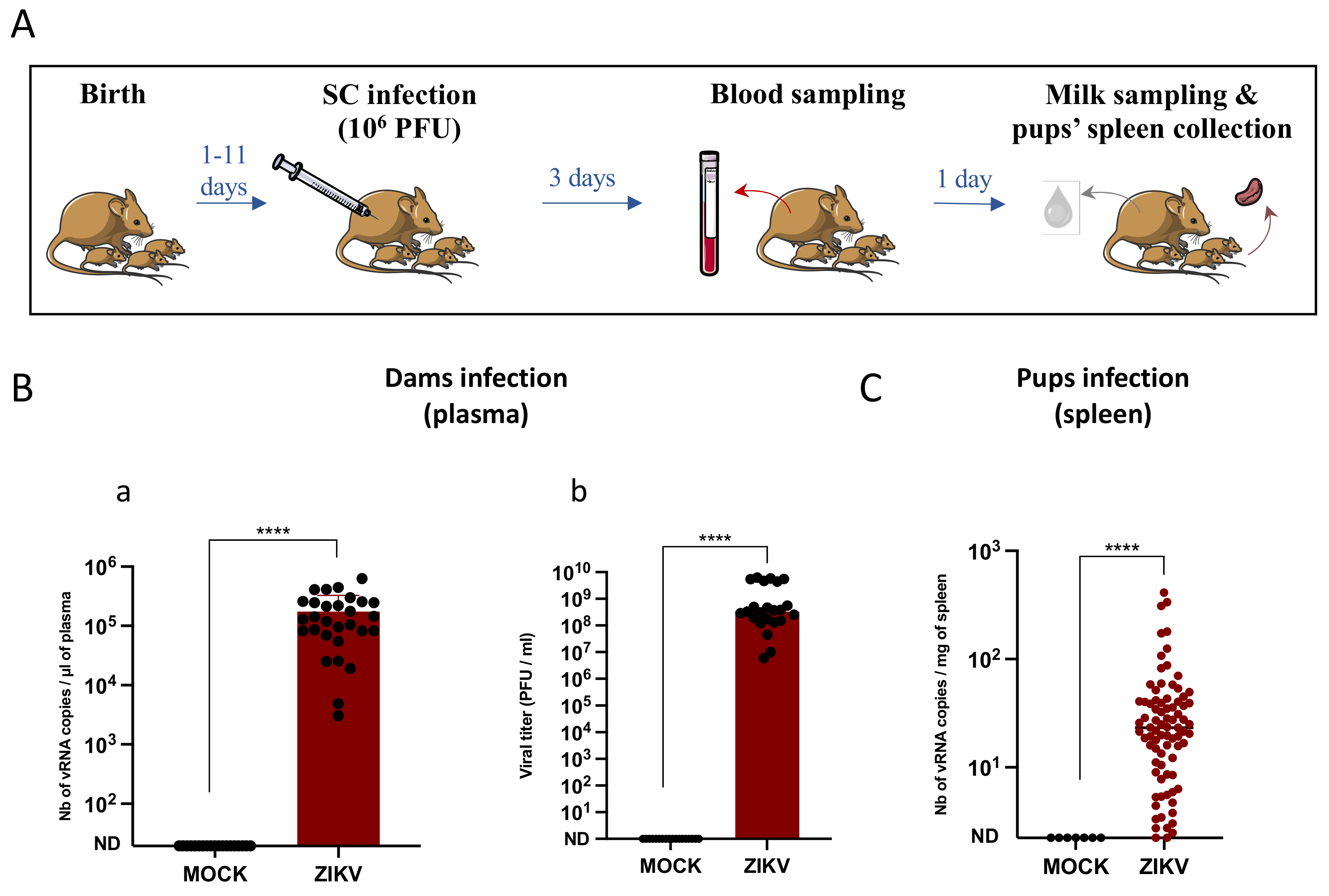 Viruses 14 00851 g001 550