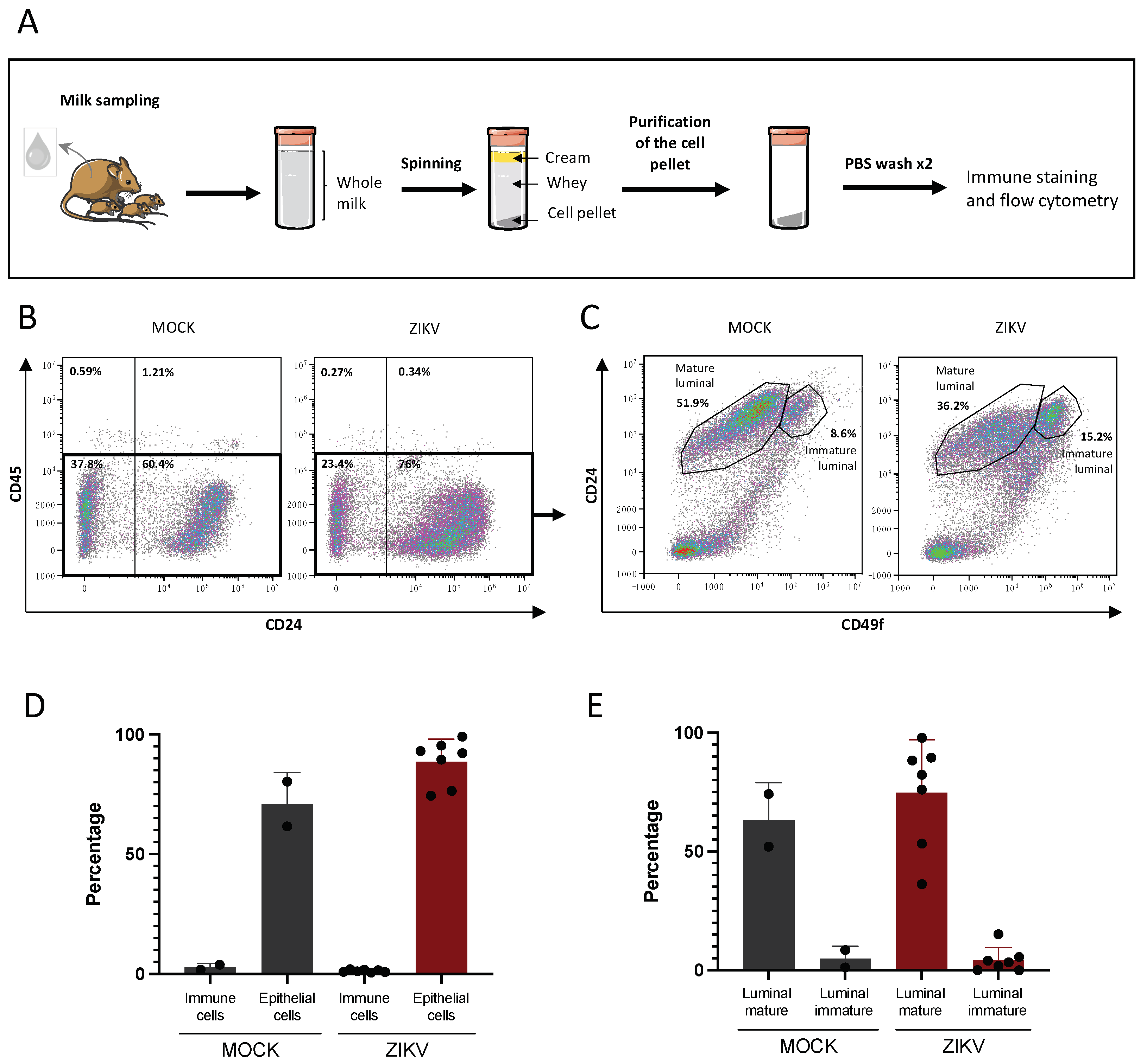 Viruses 14 00851 g003 550