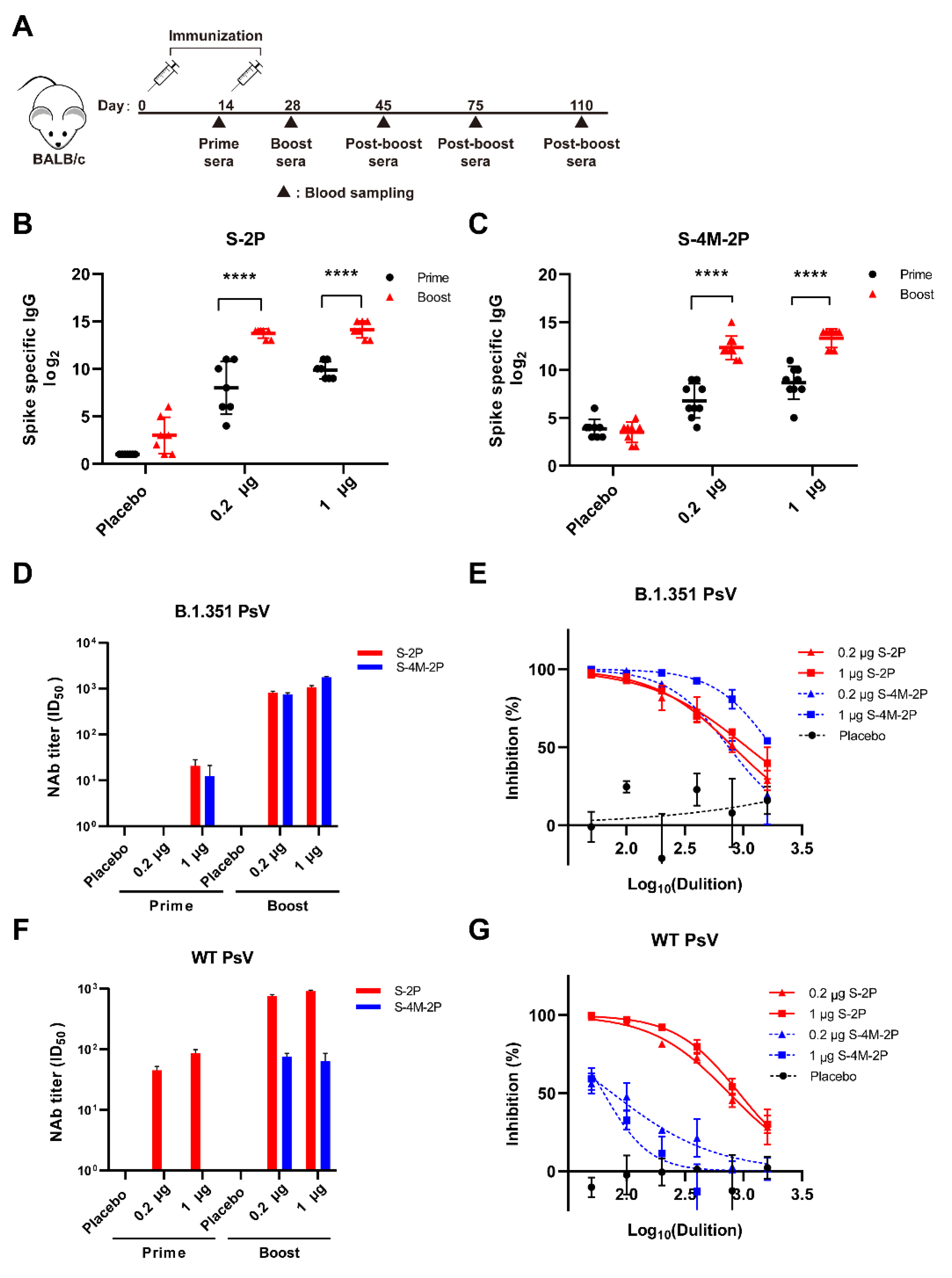 Viruses 14 00854 g002 550