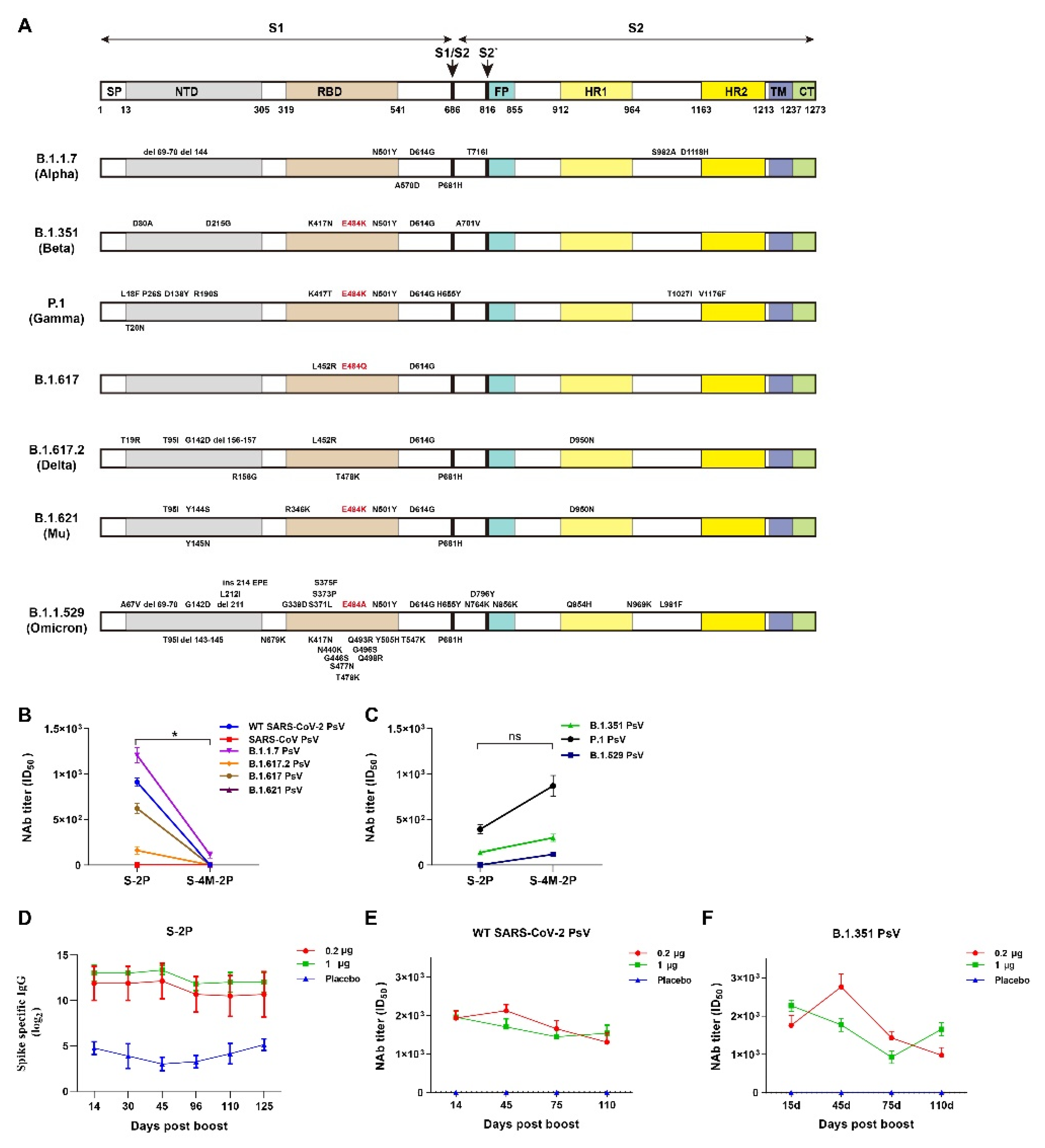 Viruses 14 00854 g004 550