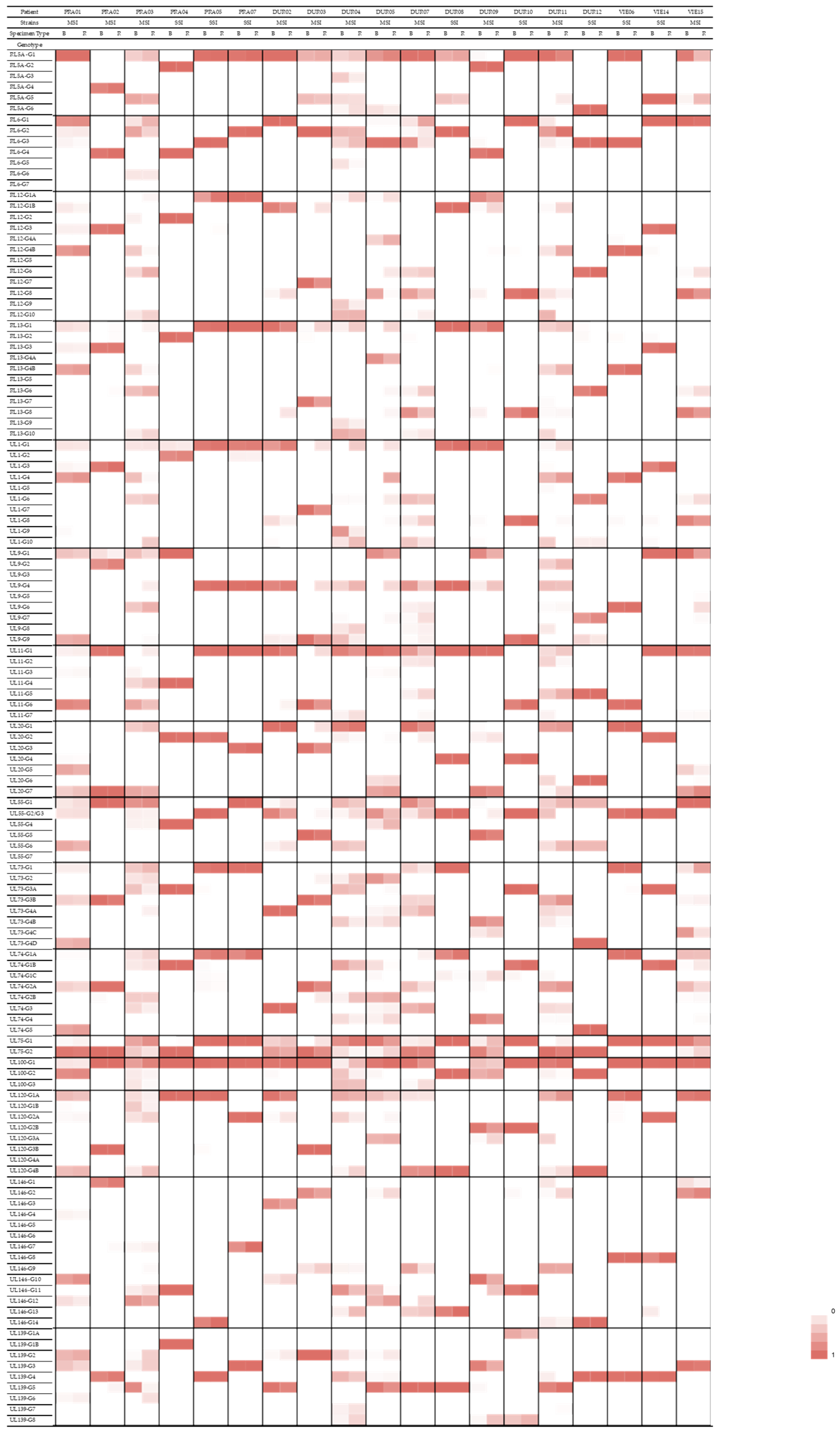 Viruses 14 00855 g001