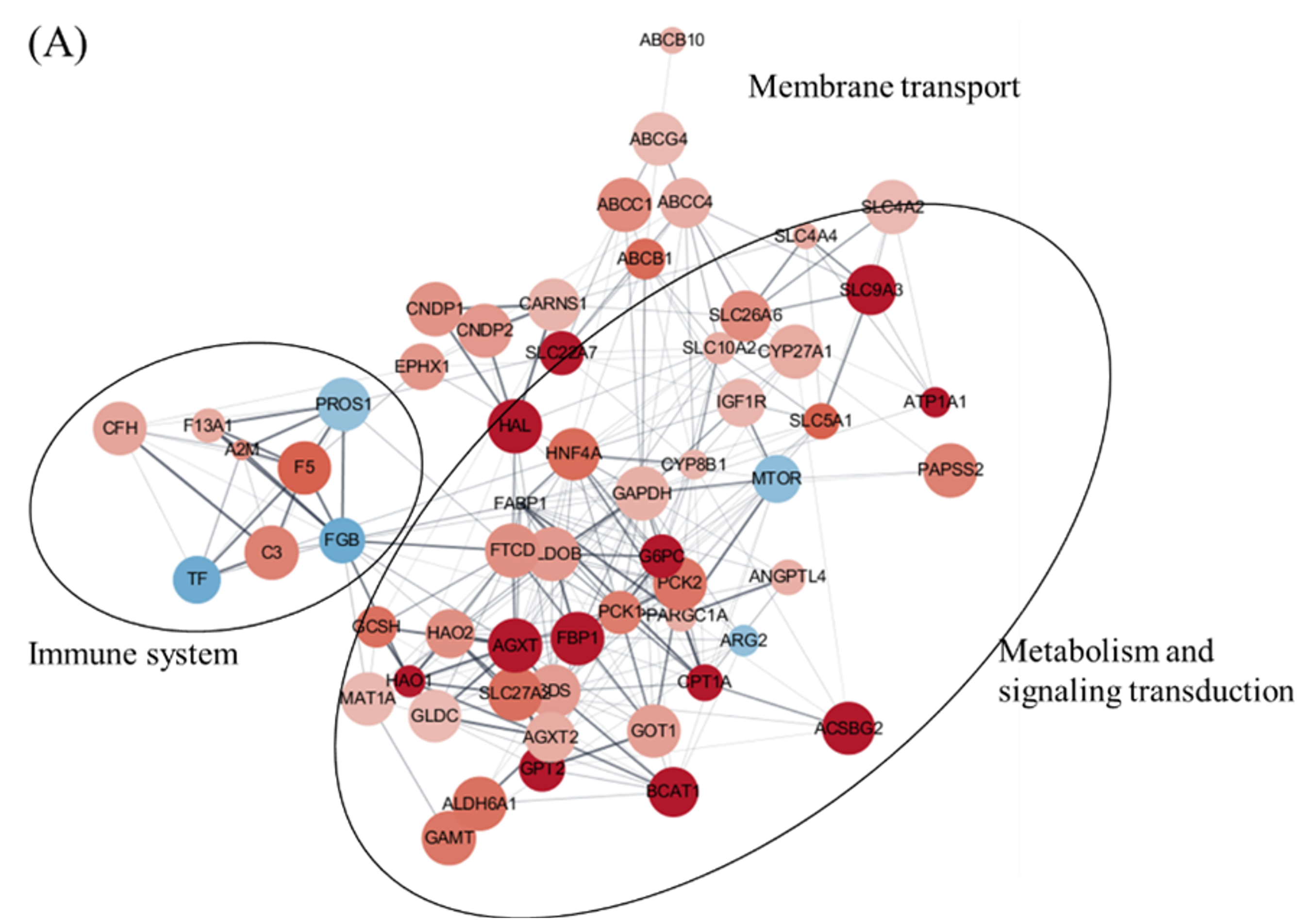 Viruses 14 00859 g002a Viruses 14 00859 g002a