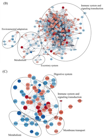 Pathogenic Mechanism of a Highly Virulent Infectious