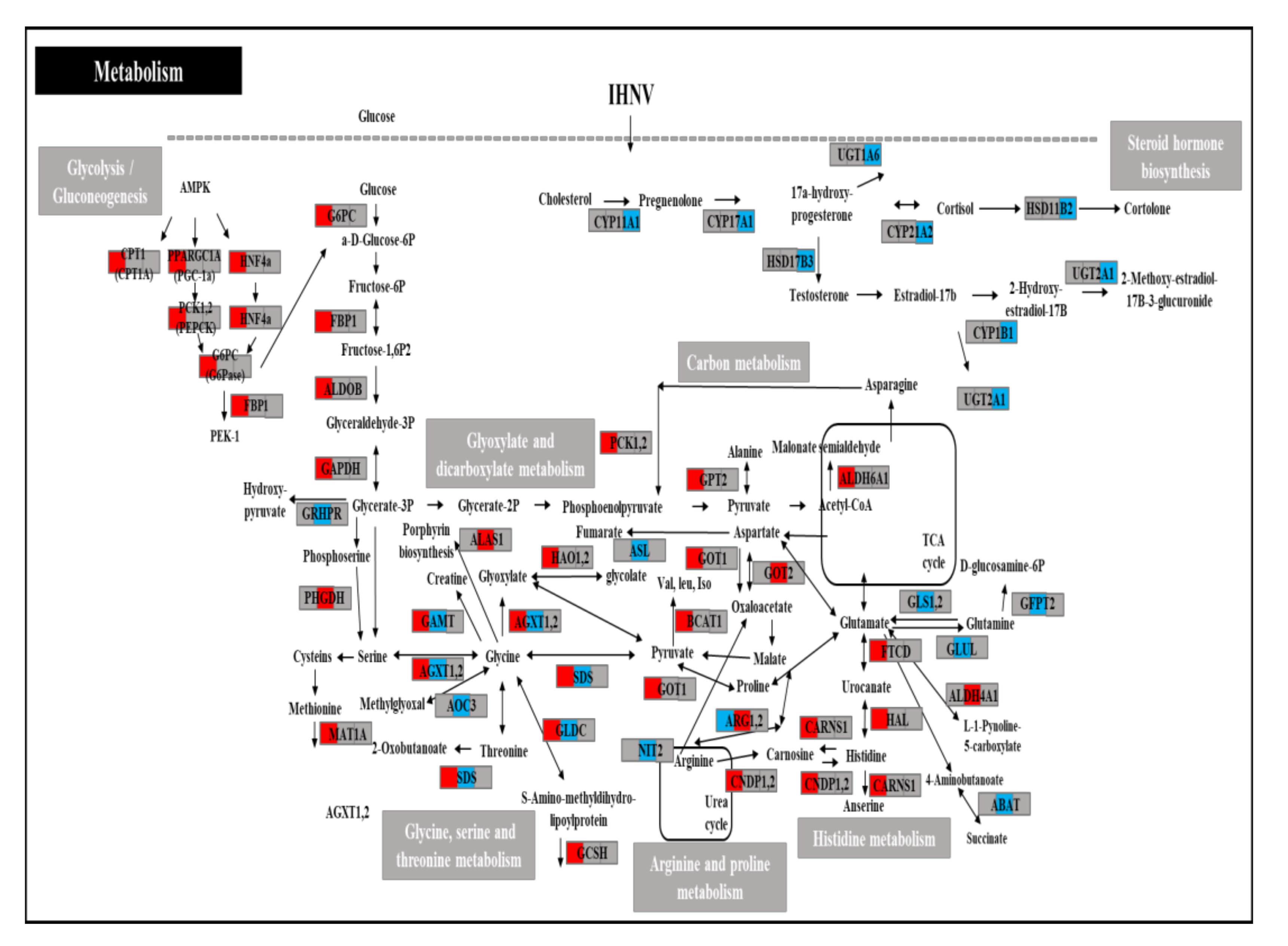 Viruses 14 00859 g003 Viruses 14 00859 g003
