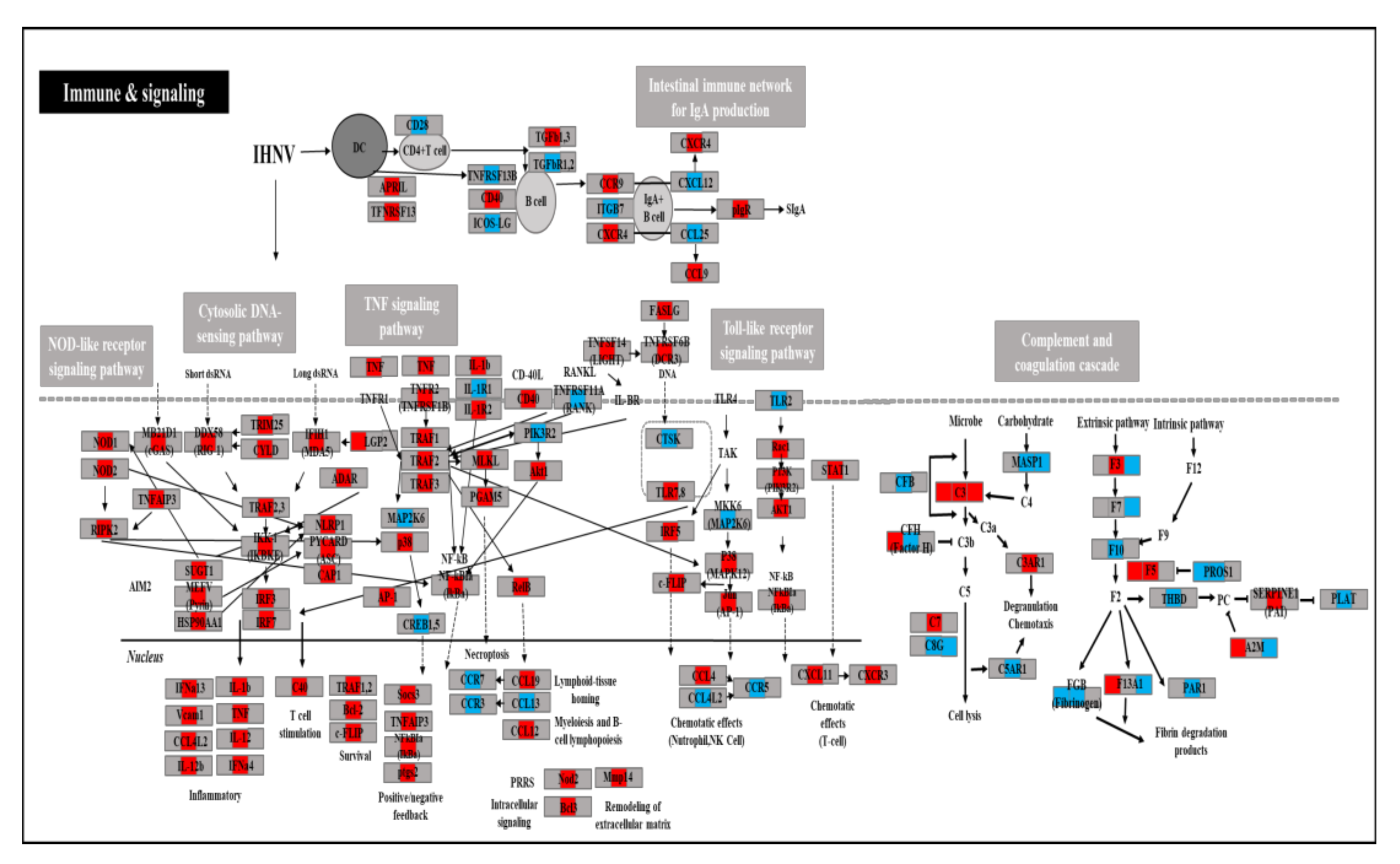 Viruses 14 00859 g004 Viruses 14 00859 g004