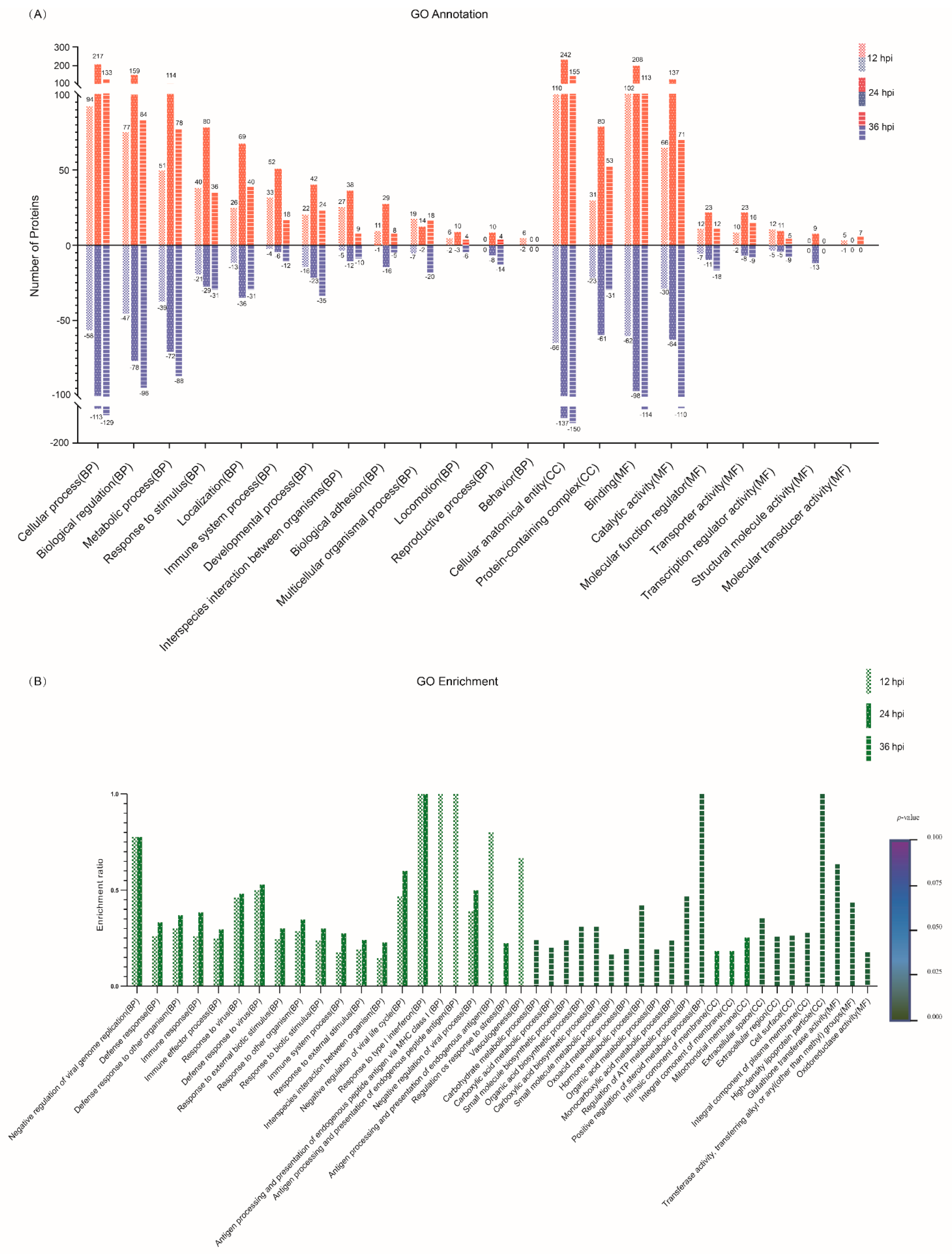 Viruses 14 00863 g003