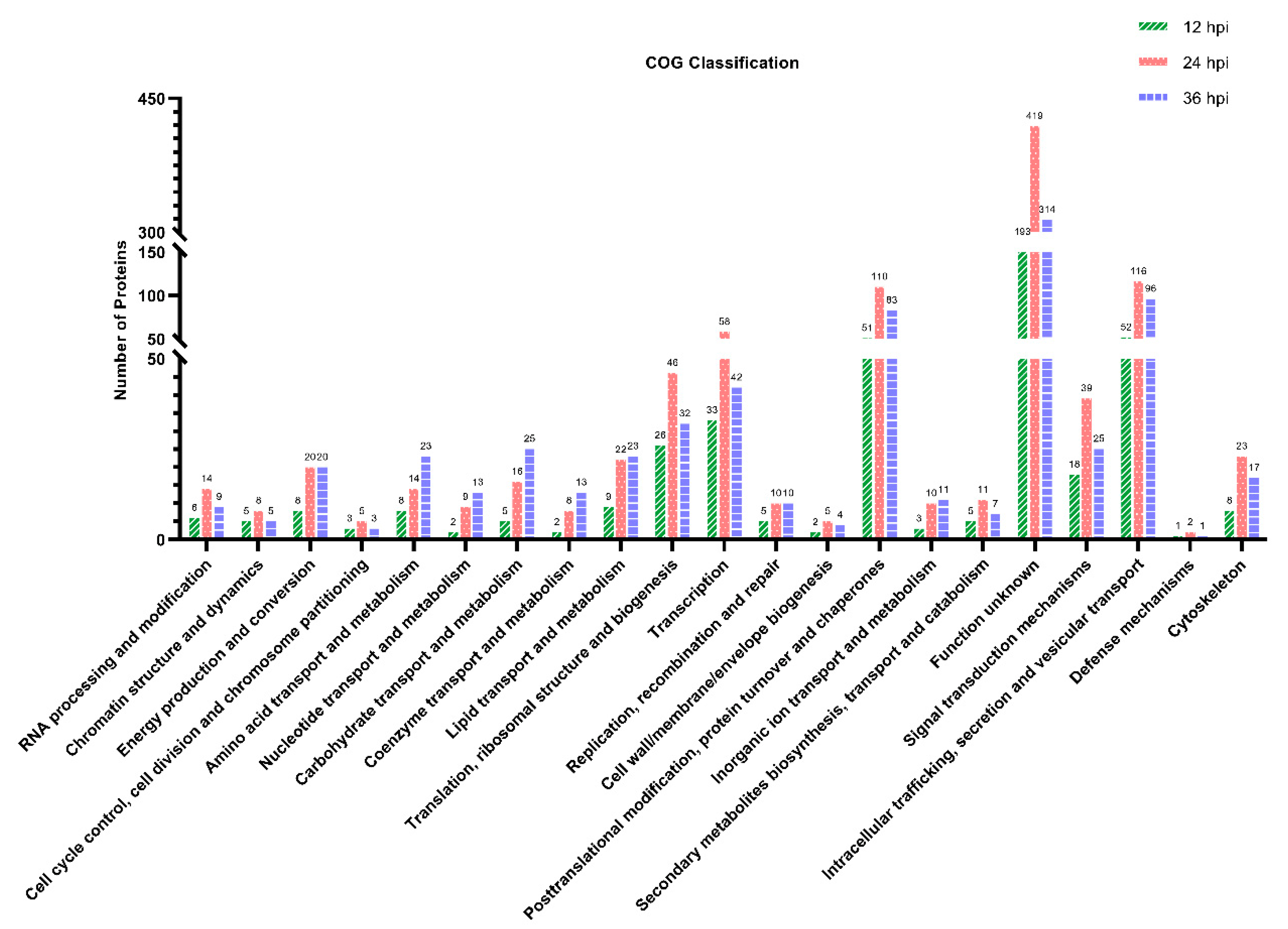Viruses 14 00863 g004