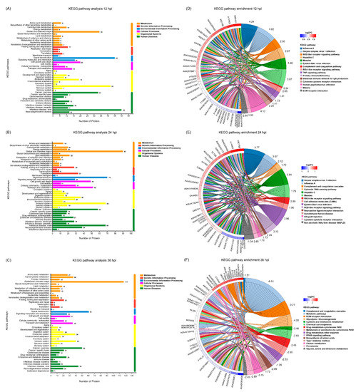 Comparative Proteomic Analysis Reveals Mx1 Inhibits Senecavirus A