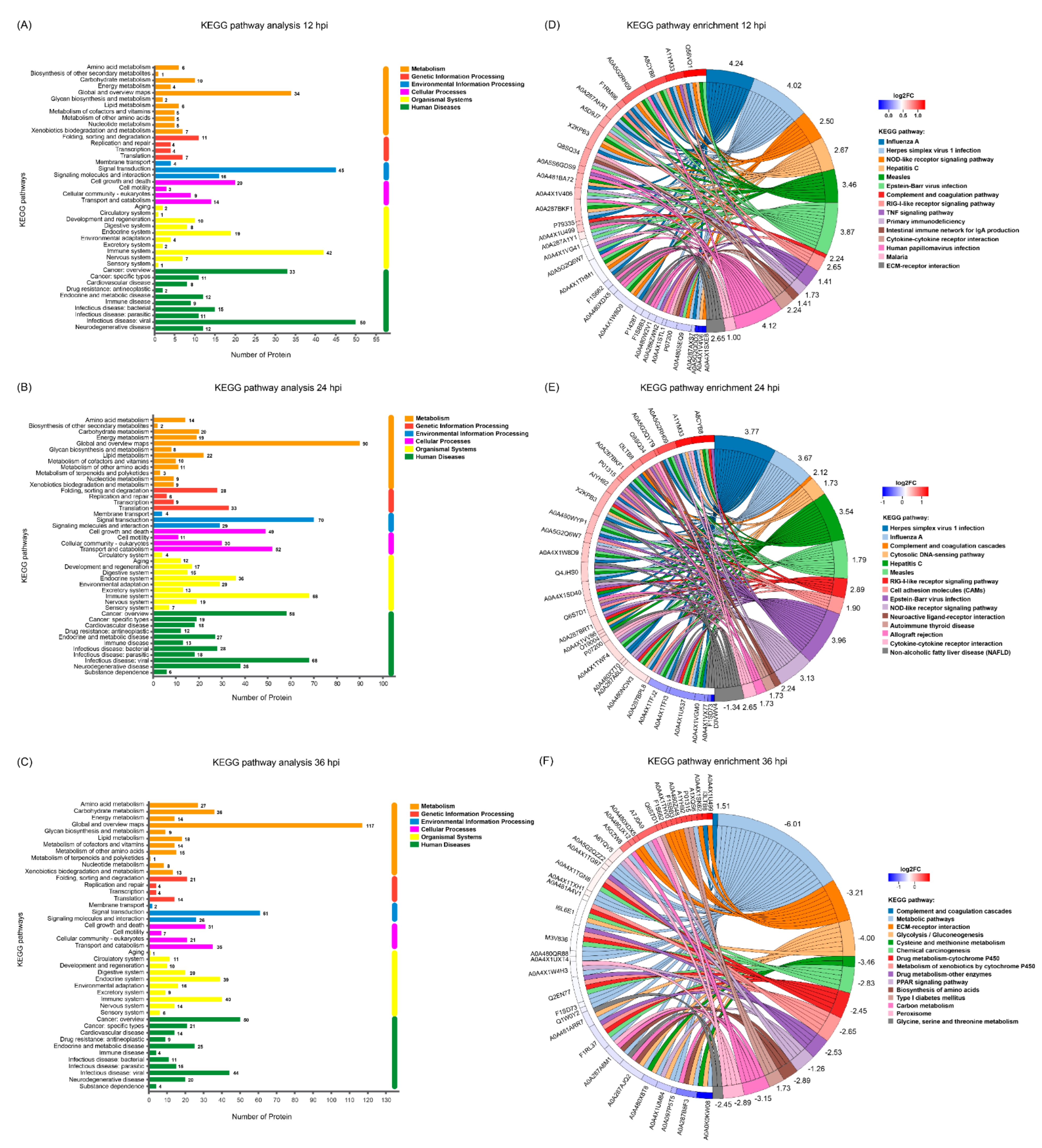Viruses 14 00863 g005