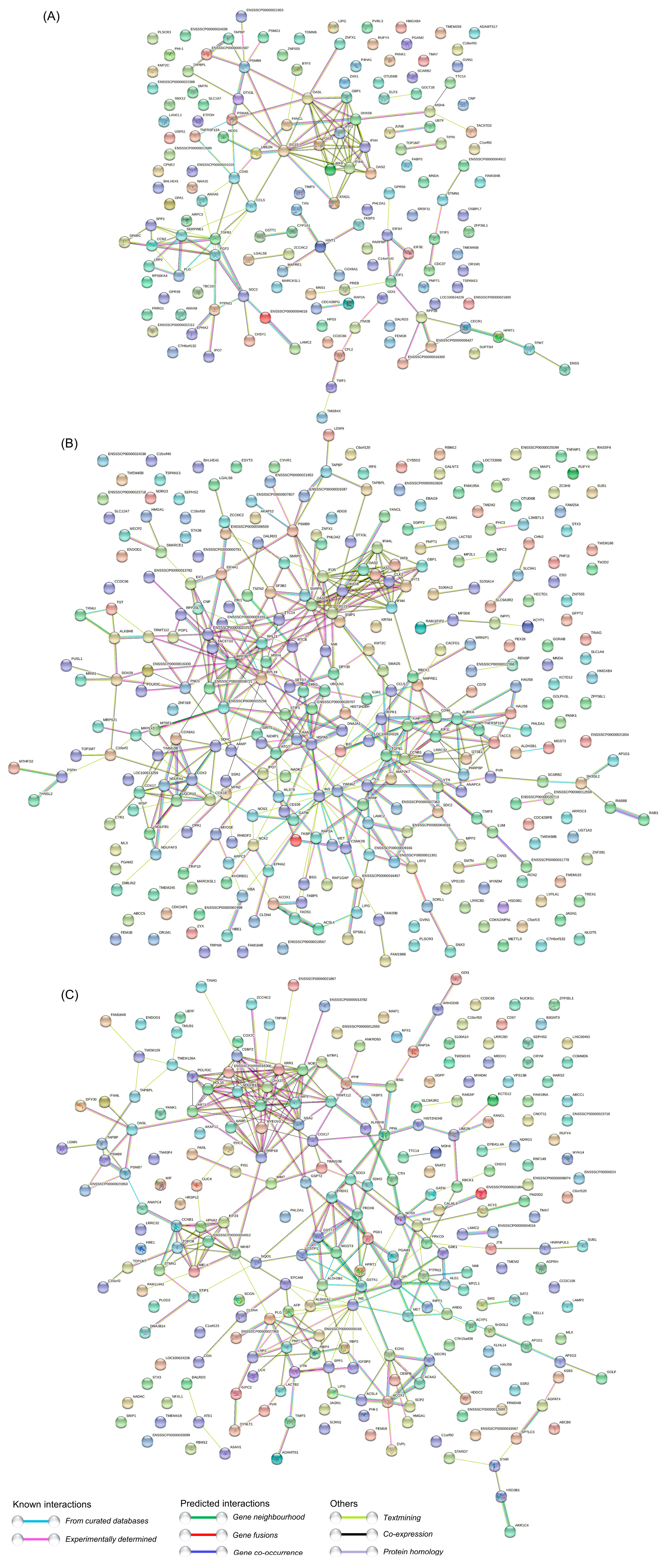 Viruses 14 00863 g006