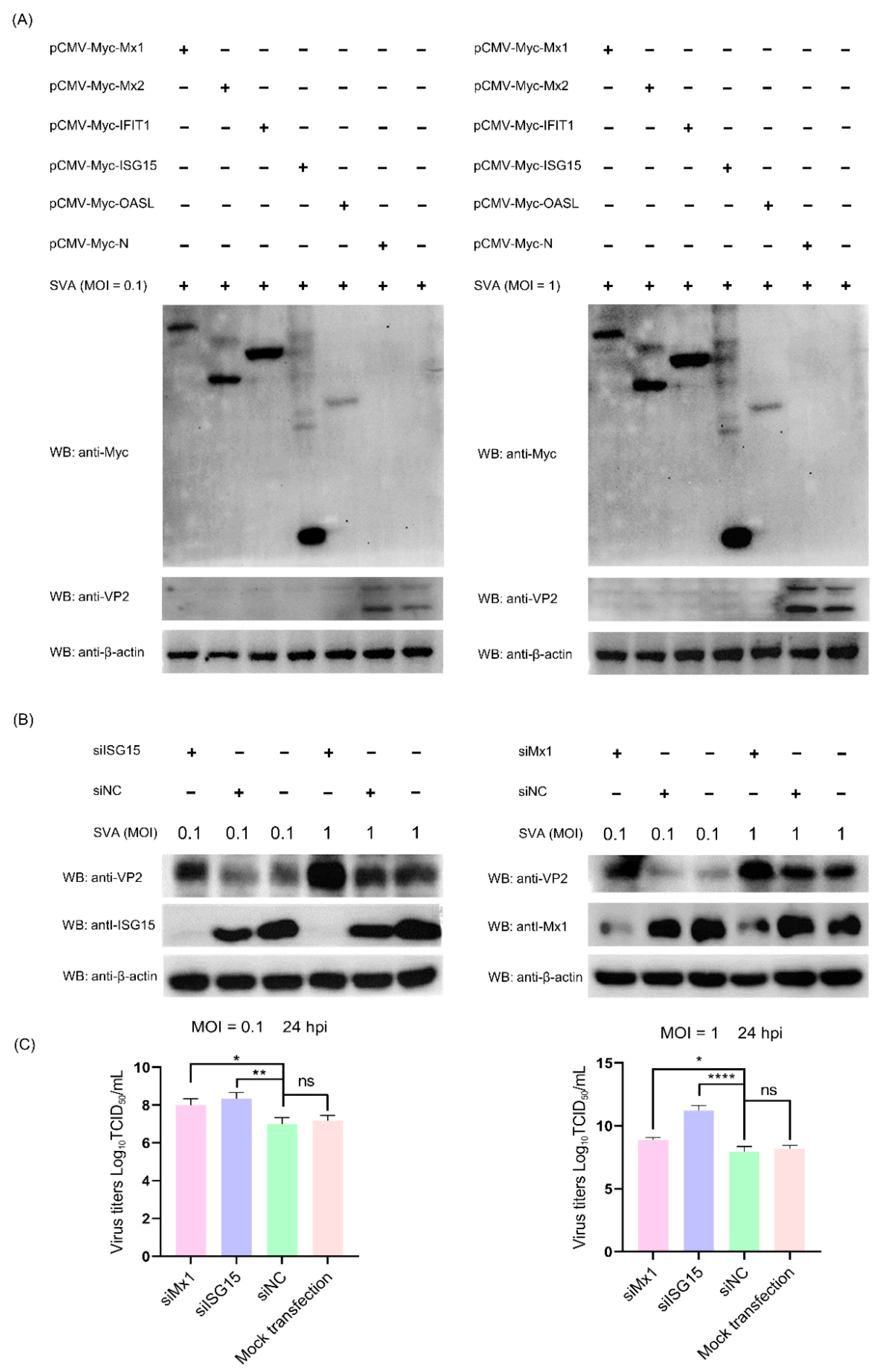 Viruses 14 00863 g007