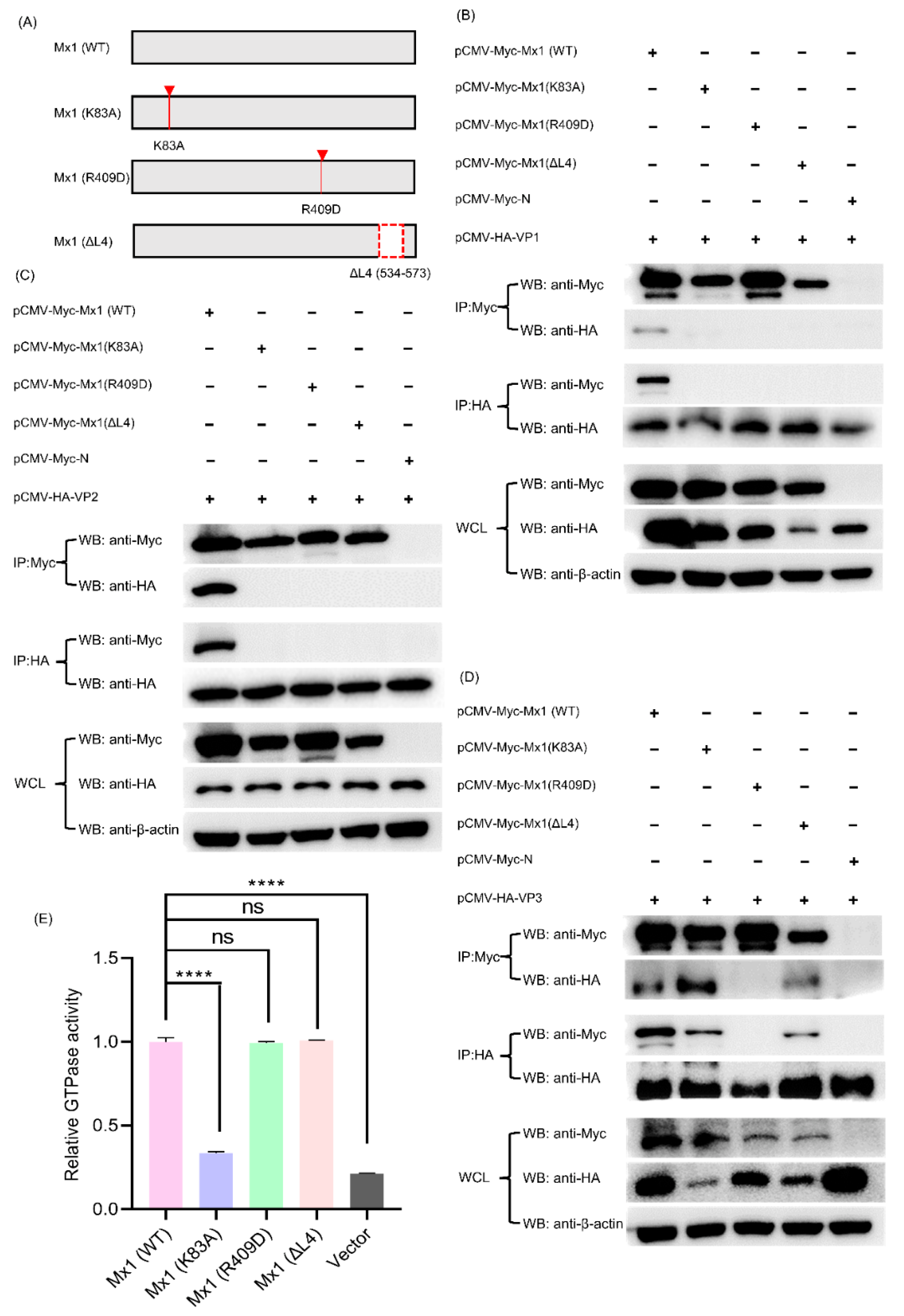 Viruses 14 00863 g010