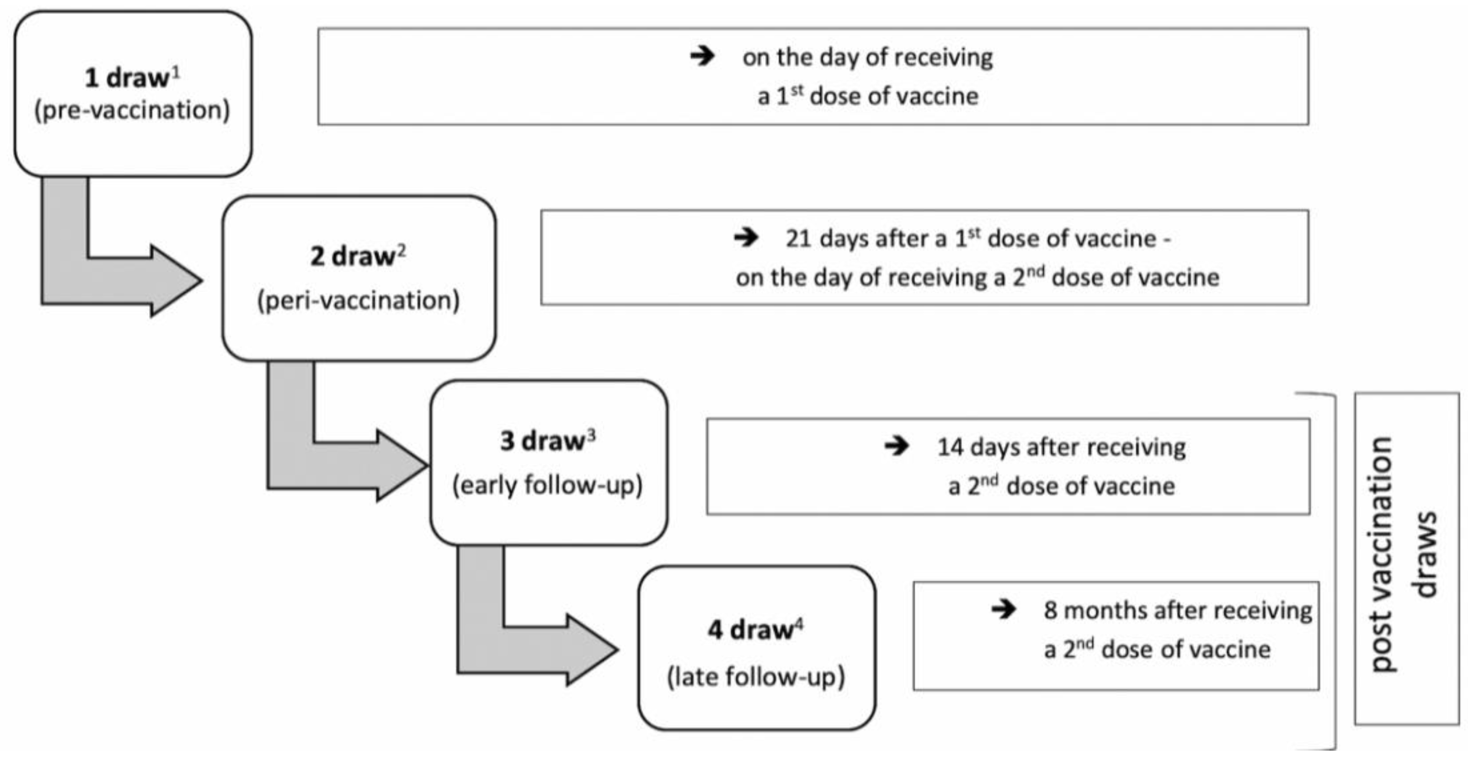 Viruses 14 00868 g002