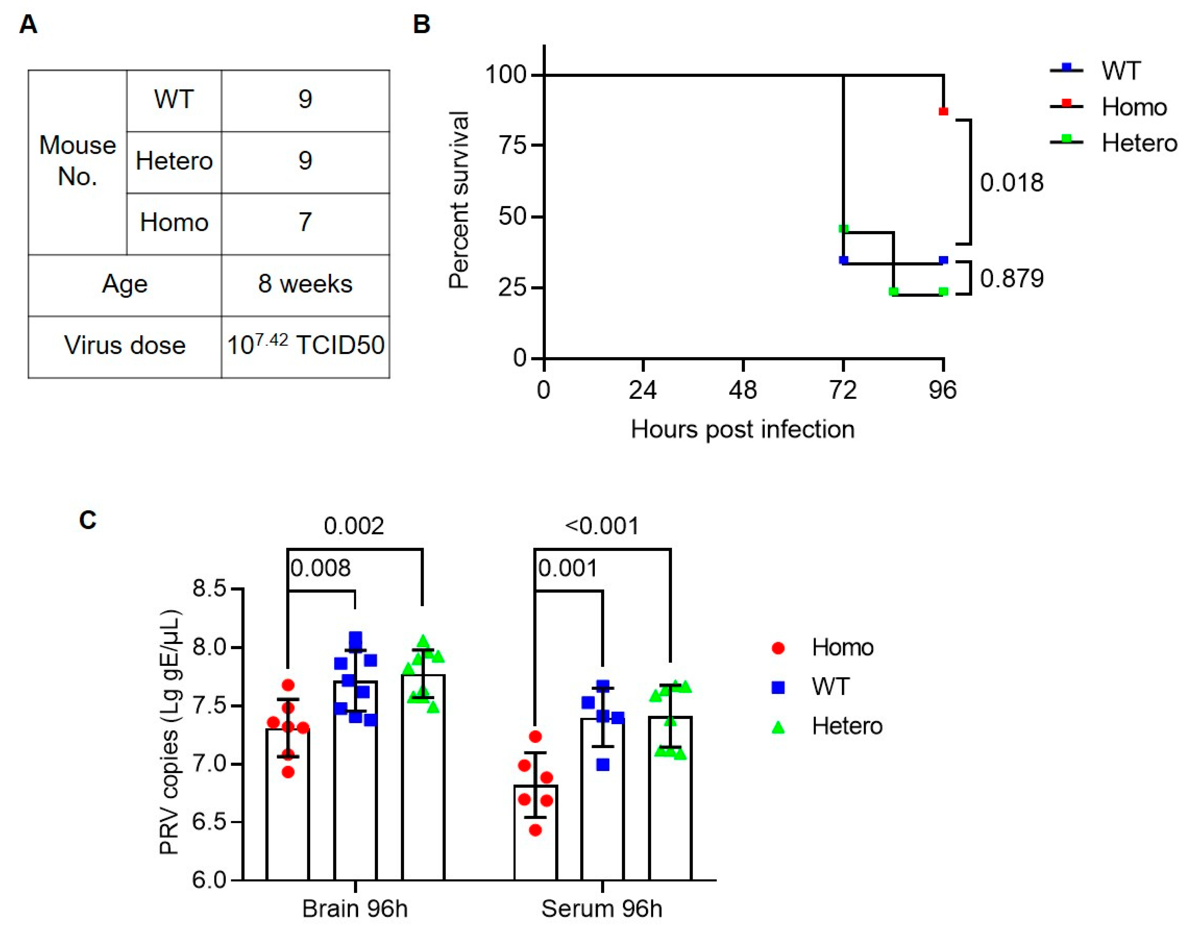 Viruses 14 00874 g003 Viruses 14 00874 g003