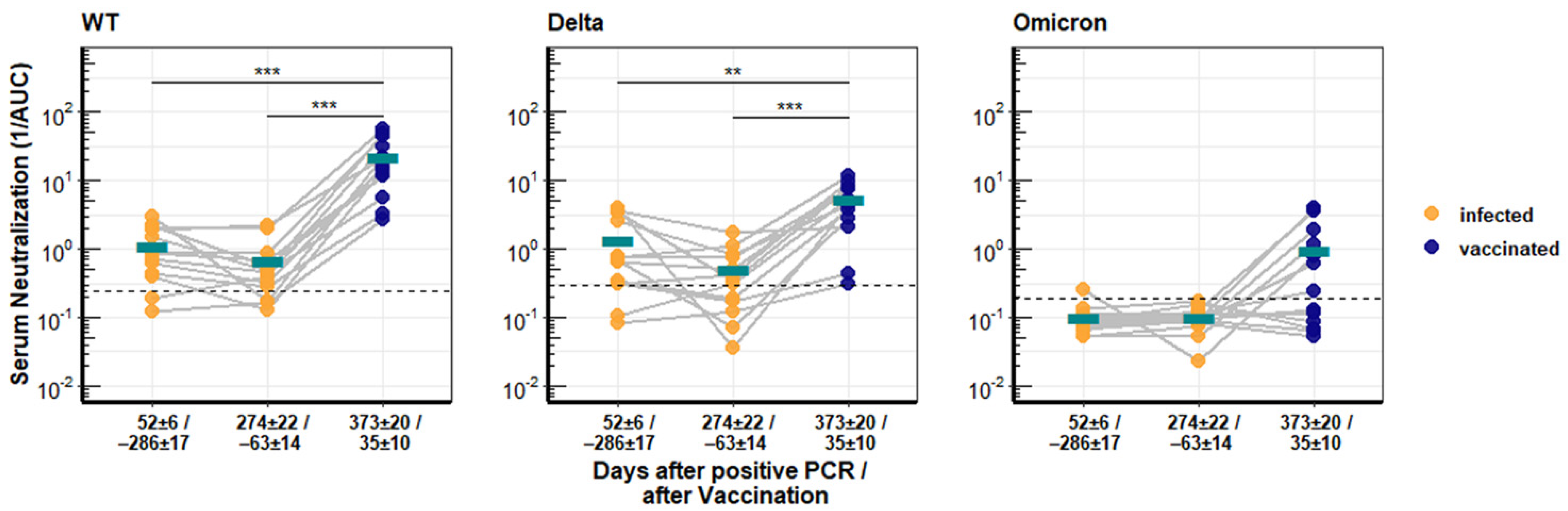 Viruses 14 00882 g002