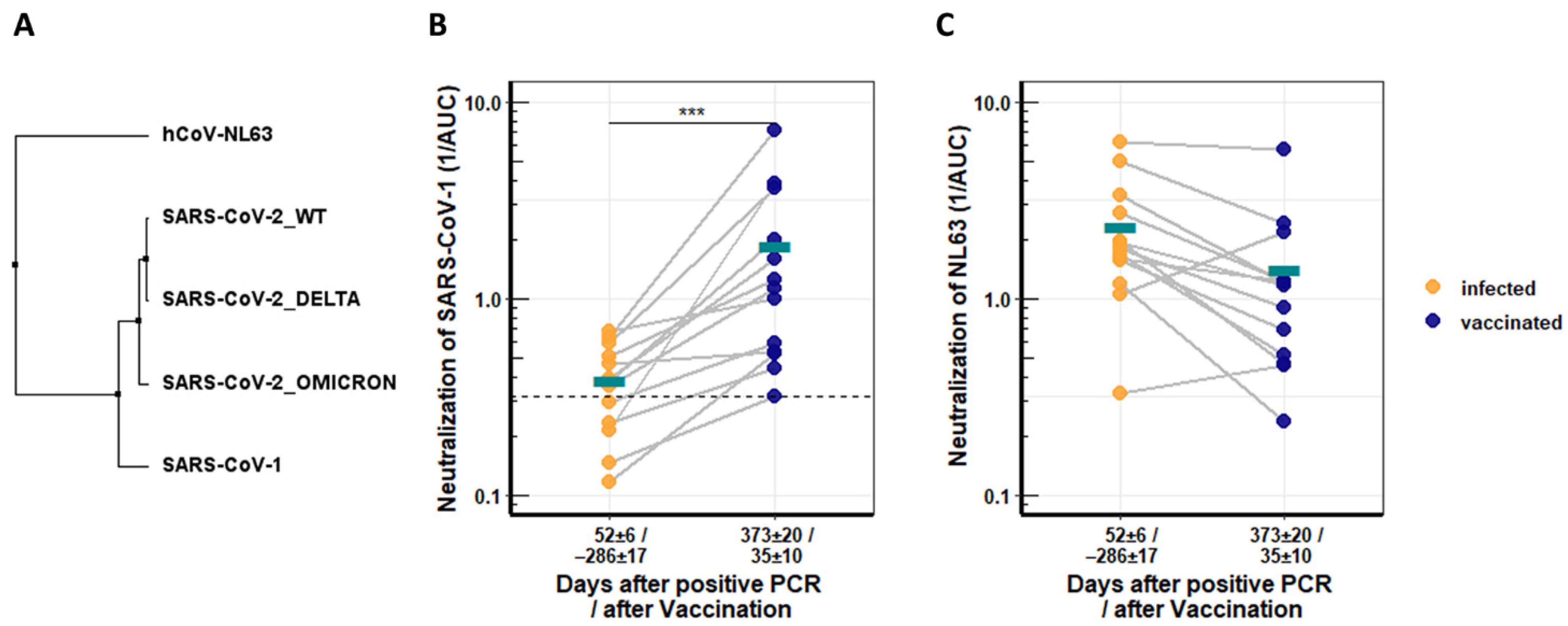Viruses 14 00882 g003