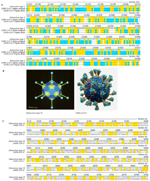 Viruses 14 00885 g001 550