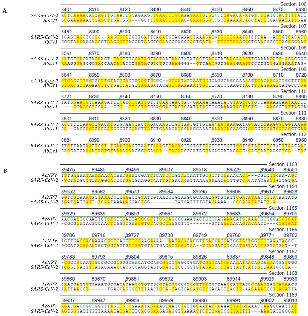 Viruses 14 00885 g003 550