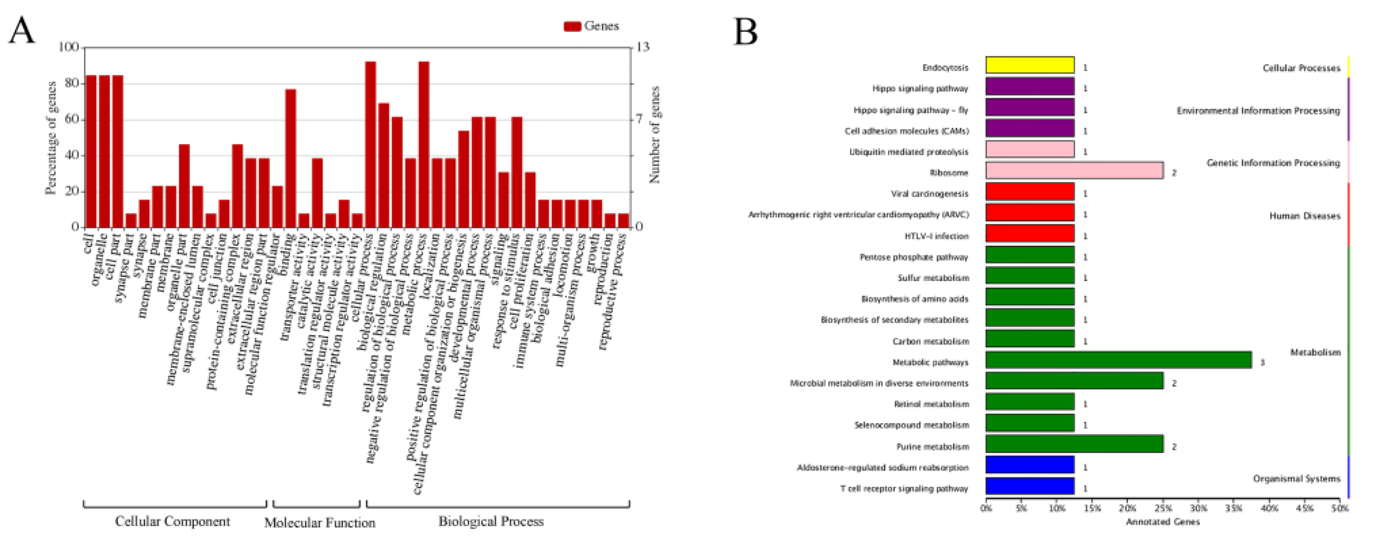 Viruses 14 00892 g002 Viruses 14 00892 g002