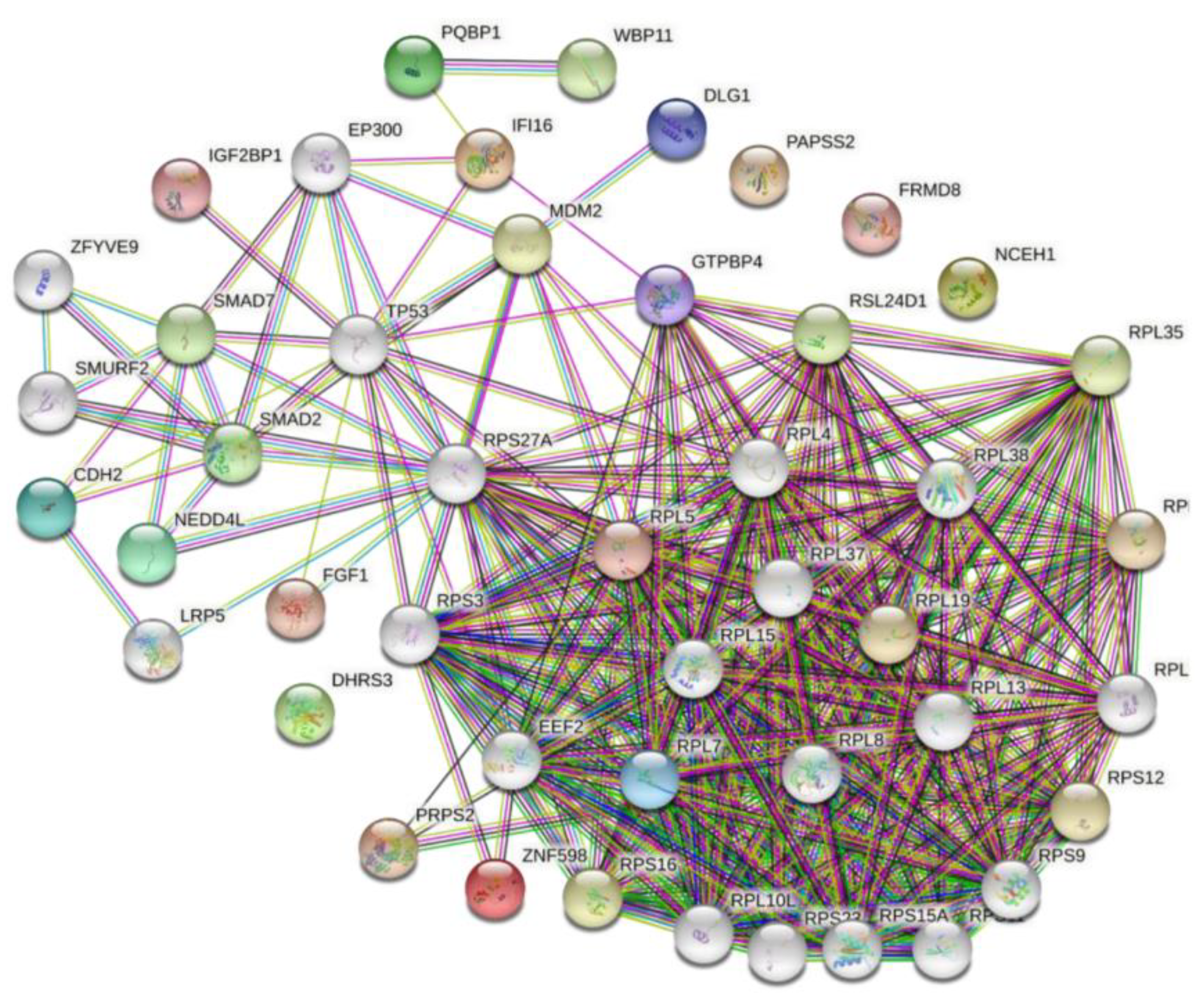 Viruses 14 00892 g003 Viruses 14 00892 g003